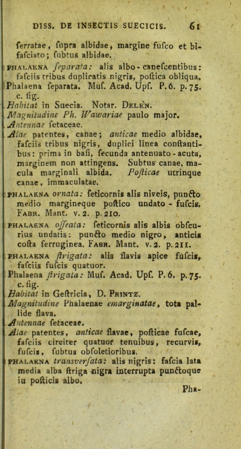 ferratae, fopra albidae, margine fufco et bi- fafciato; fubtus albidae. ,PHAT.AENA ffparata: alis albo-canefcentibus; fafciis tribus dupliratis nigris, poftica obliqua. !Phalaena feparata, Muf. Acad. Upf. P.6. p. 75. c. fig. Habitat in Suecia. Notar. Delen. agnitiidine Ph. IFawariae paulo major. Antennae fetaceae, Aiae patentes, canae; anticae medio albidae, fafciis tribus nigris, duplici linea conftanti- bus: prima in bafi, fecunda antenuato - acuta, marginem non attingens. Subtus canae, ma- cula marginali albida, Pojiicae ucrinque canae, immaculatae. PHALAENA omota: feticornis alis niveis, punfto medio margineque poftico undato - fufcis, Fabr. Mant. V. 2. p. 210. PHALAENA ojjettta: feticornis alis albis obfcu- rius undatis; punfto medio nigro, anticis cofta ferruginea. Fabr. Mant. v. 2. p. 2II. PHALAENA Jirigata: alis flavis apice fufcis, fafciis fufcis quatuor. Phalaena Jirigata: Muf. Acad. Upf. P. 6, p. 75. c. lig. Habitat in Geftricia, D. Printz. Magnitudine Phalaenae emarginatae, tota pal* lide flava. Antennae fetaceae. Aiae patentes, anticae pofticae fufcae, fafciis circiter quatuor tenuibus, recurvis, fufcis, fubtus obfoletioribus. PHALAENA alis nigris: fafcia lata media alba ftriga -nigra interrupta pun^toque iu poflicis albo. Pha-