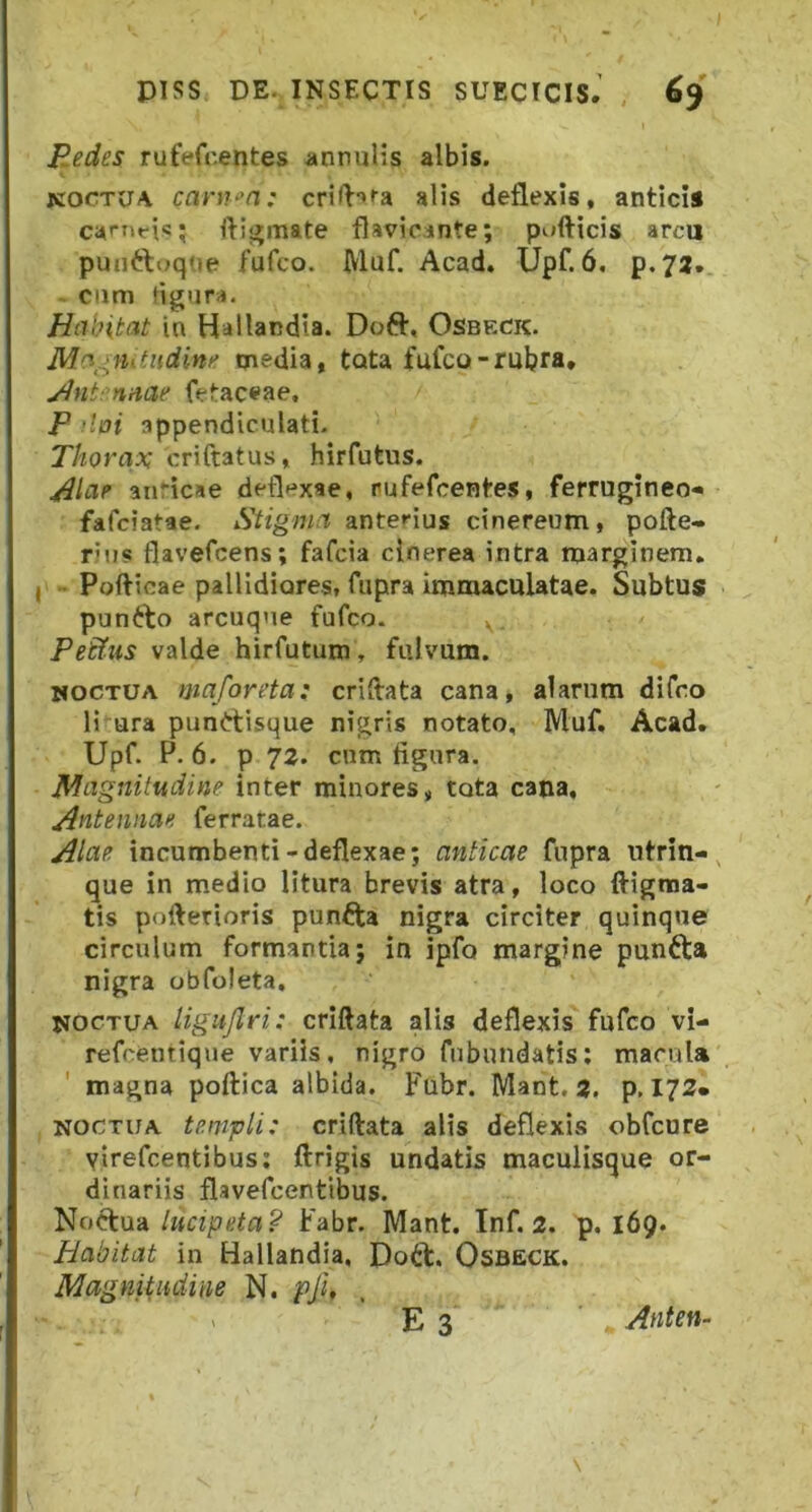 Eedes rufefr.entes annulis albis. KOCTUA cant‘>a: alis deflexis, antici* ca^^nri^j fti<5mate flavicante; pofticis arcu pun<:luq'»e fufco. Muf. Acad. Upf. 6. p.73. - ciim tigura. Hctbitat in Hailandia. Doft, Osbeck. ndudini' media, tata fufco-rubra, jdnt^naaf fetaceae, P !loi appendiculati. Thorax criftatus, hirfutus. anricae deflexae, rufefcentes, ferrugineo» fafciatae. Stigma anterius cinereum, pofte- riiis flavefcens; fafcia cinerea intra marginem, I . Pofticae pallidiores, fupra immaculatae. Subtus punito arcuqne fufco. Pefftts valde hirfutum, fulvum. WOCTUA maforeta: criflata cana, alarum difro li ura punrtisque nigris notato, Muf. Acad. Upf. P. 6. p 72. cnm figura. Magnitudine inter minores, tota cana, Antennae ferratae. Alae incumbenti-deflexae; anticae fupra utrin-^ que in medio litura brevis atra, loco fiigma- tis poflerioris punfta nigra circiter quinque circulum formantia; in ipfo margine punfta nigra obfoleta, noctua ligujlri: criftata alis deflexis fufco vi- refcentique variis, nigro fubundatis; macula magna poftica albida. Fubr. Mant. 2. p. 172. NOCTUA templi: criftata alis deflexis obfcure virefcentibus; ftrigis undatis maculisque or- dinariis flavefcenttbus. lucipeta? Fabr. Mant. Inf. 2. p. 169. Habitat in Hailandia, Dott, Osbeck. Magnitudine N. pji, E 3 Anten- \