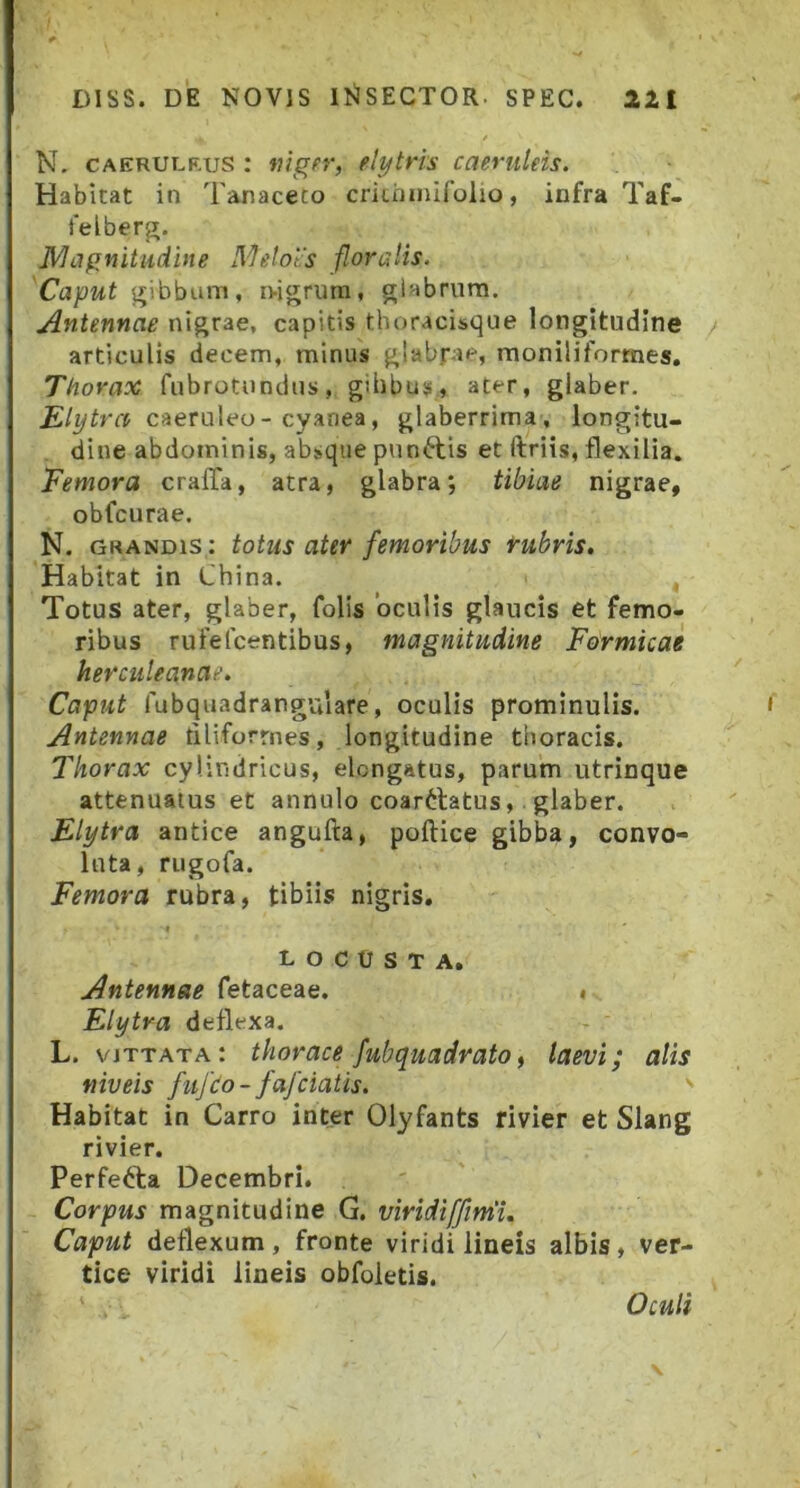 N. CAERULRus : mgfT, elytris caeruleis. Habitat in Tanaceto criujinirolio, infra Taf- felberg. Nlagnitiidine Mehcs floralis. Caput gibbum, nigrura, glabrum. Antennae nigrae, capitis thoracisque longitudine articulis decem, minus glabrae, moniliformes. Thorax fubrotundus, gibbus, ater, glaber. Elytra caeruleo - cyanea, glaberrima , longitu- dine abdominis, absque punctis et ftriis, flexilia. Femora cralTa, atra, glabra; tibiae nigrae, obfcurae. N. grandis: totus ater femoribus rubris. Habitat in China. Totus ater, glaber, folis oculis glaucis et femo- ribus rufefcentibus, magnitudine Formicae herculeanae. Caput fubquadrangulare, oculis prominulis. Antennae tlliforrnes, longitudine thoracis. Thorax cylindricus, elongatus, parum utrinque attenuatus et annulo coartlatus,. glaber. Elytra antice angufta, pollice gibba, convo- luta, riigofa. Femora rubra, tibiis nigris. LOCUSTA, Antennae fetaceae. • Elytra deflexa. L. vittata: thorace fubquadratot laevi; alis niveis fufCo- fafciatis. ' Habitat in Carro inter Olyfants rivier et Slang rivier. Perfefta Decembri. Corpus magnitudine G. vmdiffim'i. Caput deflexum, fronte viridi lineis albis, ver- tice viridi lineis obfoletis. Oculi