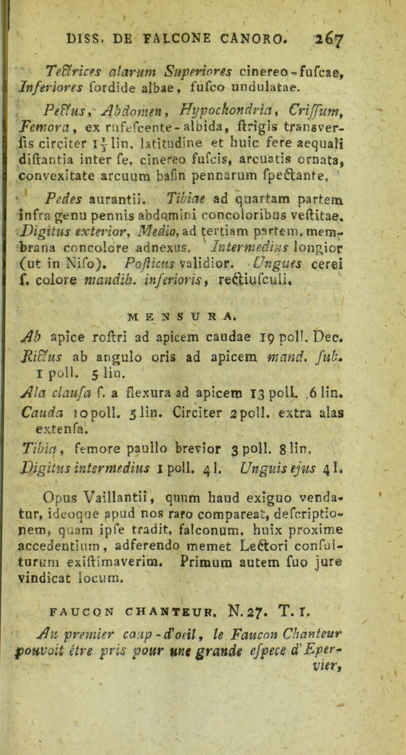 DISS. DE FALCONE CANORO. 267 Textrices alarum Superiores cinereo-fufcae, Inferiores fordide albae, fufco undulatae. Pe?tus i' Jlbdonien t Hypochondria ^ Criffum^ Femora i ex rufefcente-albida, ftrigis transver- lis circiter lylin. latitudine et huic fere aequali diftantia inter fe, cinereo fufcis, arcuatis ornata, Convexitate arcuum bafin pennarum fpefl;ante, • ' Pedes aurantii. Tibiae ad quartam partem infra genu pennis abdomini concoloribus veftitae. Digitus exterior, Medio, Sid tertiam partem, mem- brana concolore adnexus. Intermedius longior (ut in Nifo). PoJUcns sdWdxov. Ungues cerei f. colore mandib. inferioris t rediurcuii, MENSURA. ylb apice roftri ad apicem caudae 19 poli. Dee. Fi&us ab angulo oris ad apicem mand. fub» I poli. 5 lin. yila claufa f. a flexura ad apicem 13 polL .6 lin. Cauda 10 poli. 5 lin. Circiter 2poli, extra alas extenfa'. Tibict, femore paullo brevior 3 poli. 8 lin. Digitus intermedius i poli. 4I. Unguis ejus 4I. Opus Vaillantii, quum haud exiguo venda- tur, ideoqne apud nos raro comparcat, defcriptio- jiem, quam ipfe tradit, falconum, huix proxime accedentium, adferendo memet Leftori conful- turum exiftimaverim. Primum autem fuo jure vindicat locum. FAUCON CHANTEUR. N. 27* T. T. Jhi premier coup - d’od/, U Faucon Chanteur poHvoit etre pris pom mt grande efpece d'Eper-^ vier.