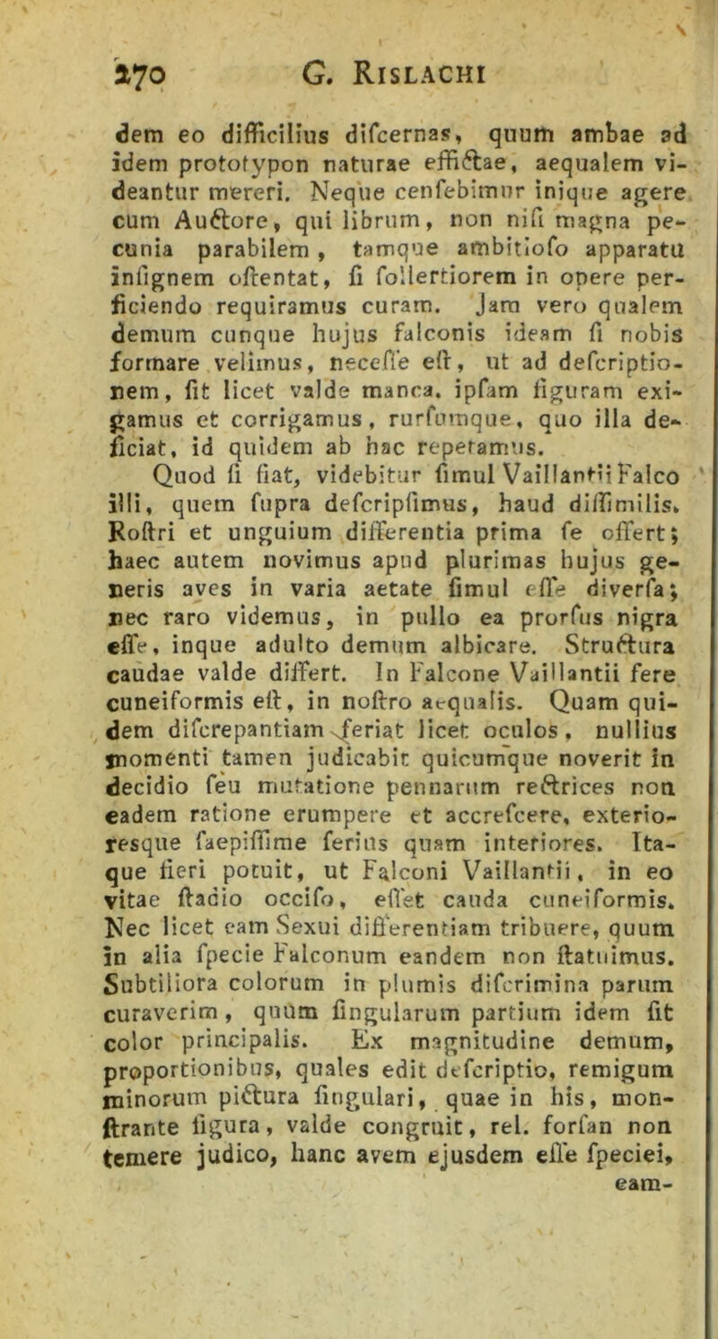 \ dem eo difficilius difcernas, quum ambae ad idem protofypon raturae effiftae, aequalem vi- deantur mereri. Neque cenfebimnr inique agere cum Auftore, qui librum, non nifi magna pe- cunia parabilem , tamque ambitiofo apparatu iniignem oftentat, fi foUertiorem in onere per- ficiendo requiramus curam. Jam vero qualem demum cunque hujus falconis ideam fi nobis formare velimus, necefie eff, ut ad defcriptio- nem, fit licet valde manca, ipfam figuram exi- gamus et corrigamus, rurfomque, quo illa de- ficiat, id quidem ab hac reperam\is. Quod fi fiat, videbitur fimul Vaillantii Falco illi, quem fupra defcriplimus, haud diffimllis, Roftri et unguium differentia prima fe offert; haec autem novimus apud plurimas hujus ge- neris aves in varia aetate fimul effe diveria; nec raro videmus, in pullo ea prorfus nigra effe, inque adulto demum albicare. Struftiira caudae valde differt. In Falcone Vaillantii fere cuneiformis eff, in noftro aequalis. Quam qui- dem difcrepantiam^feriat licet oculos, nullius jnomenti tamen judicabit quicumque noverit in decidio feu mutatione pennarum reftrices non eadem ratione erumpere tt accrefcere, exterio- resque faepiffime ferius quam interiores. Ita- que fieri potuit, ut Falconi Vaillantii, in eo vitae ftadio occifo, effet cauda cuneiformis. Nec licet eam Sexui differentiam tribuere, quum in alia fpecie Falconum eandem non ftatiiimus. Subtiliora colorum in plumis difcrimina parum curaverim, quum fingularum partium idem fit color principalis. Ex magnitudine demum, proportionibus, quales edit defcriptio, remigum minorum pidtura lingulari, quae in his, mon- ftrante figura, valde congruit, rei. forfan non temere judico, hanc avem ejusdem elfe fpeciei, eara-