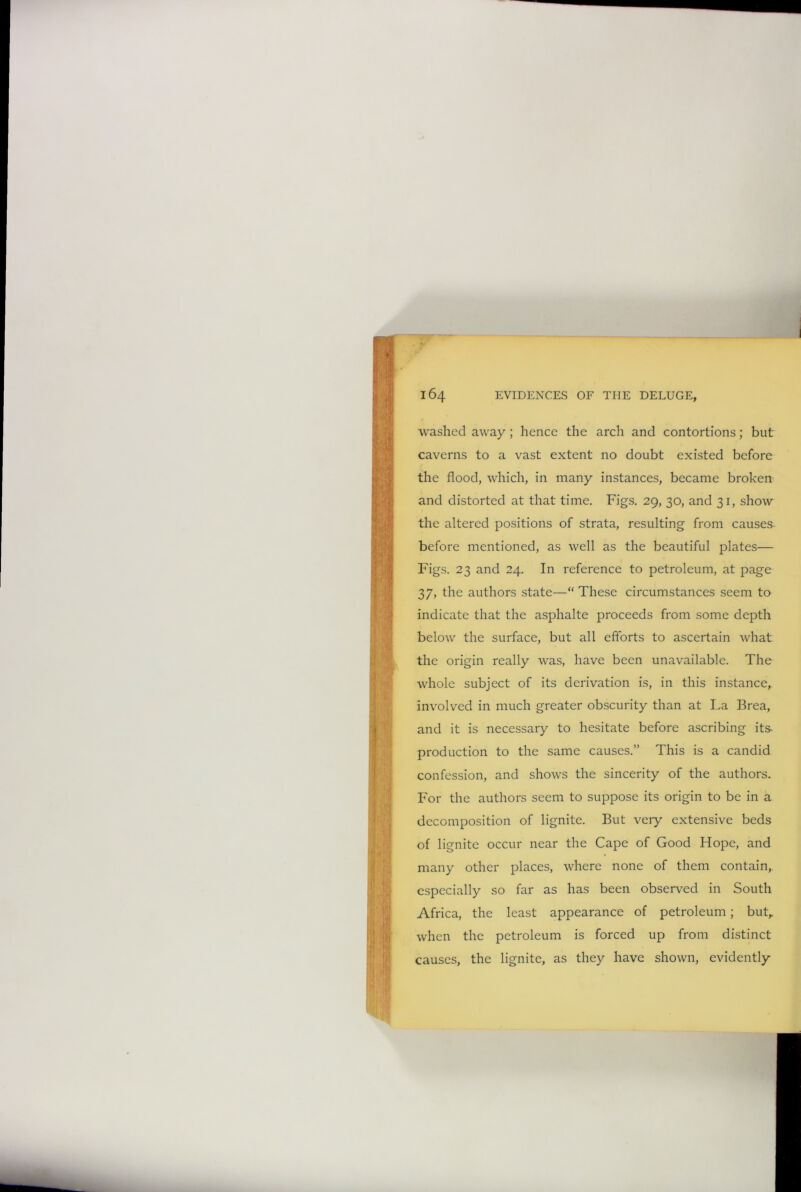 washed away ; hence the arch and contortions; but caverns to a vast extent no doubt existed before the flood, which, in many instances, became broken and distorted at that time. Figs. 29, 30, and 31, show the altered positions of strata, resulting from causes before mentioned, as well as the beautiful plates— Figs. 23 and 24. In reference to petroleum, at page 37, the authors state—“ These circumstances seem to indicate that the asphalte proceeds from some depth below the surface, but all efforts to ascertain what the origin really was, have been unavailable. The whole subject of its derivation is, in this instance, involved in much greater obscurity than at La Brea, and it is necessary to hesitate before ascribing its production to the same causes.” This is a candid confession, and shows the sincerity of the authors. For the authors seem to suppose its origin to be in a decomposition of lignite. But veiy extensive beds of lignite occur near the Cape of Good Hope, and many other places, where none of them contain, especially so far as has been observed in South Africa, the least appearance of petroleum; but,, when the petroleum is forced up from distinct causes, the lignite, as they have shown, evidently