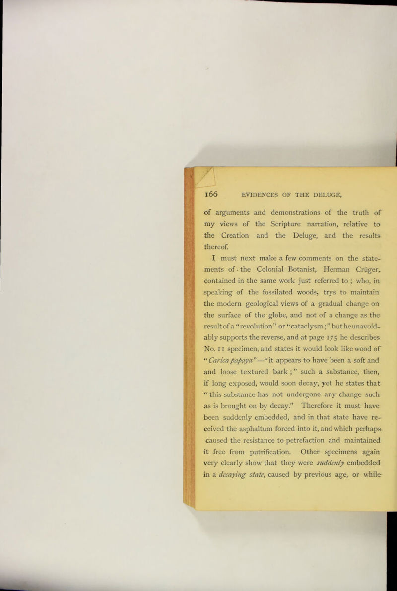 of arguments and demonstrations of the truth of my views of the Scripture narration, relative to the Creation and the Deluge, and the results thereof. I must next make a few comments on the state- ments of • the Colonial Botanist, Herman Criiger, contained in the same work just referred to ; who, in speaking of the fossilated woods, trys to maintain the modern geological views of a gradual change on the surface of the globe, and not of a change as the result of a “revolution” or “cataclysmbutheunavoid- ably supports the reverse, and at page 175 he describes No. 11 specimen, and states it would look like wood of “Caricapapaya”—“it appears to have been a soft and and loose textured bark ; ” such a substance, then, if long exposed, would soon decay, yet he states that “ this substance has not undergone any change such as is brought on by decay.” Therefore it must have been suddenly embedded, and in that state have re- ceived the asphaltum forced into it, and which perhaps caused the resistance to petrefaction and maintained it free from purification. Other specimens again very clearly show that they were suddenly embedded in a decaying state, caused by previous age, or while