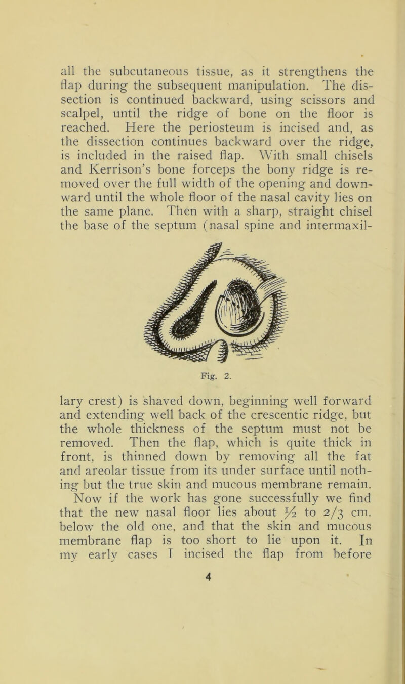 all the subcutaneous tissue, as it strengthens the Hap during the subsequent manipulation. The dis- section is continued backward, using scissors and scalpel, until the ridge of bone on the floor is reached. Here the periosteum is incised and, as the dissection continues backward over the ridge, is included in the raised flap. With small chisels and Kerrison’s bone forceps the bony ridge is re- moved over the full width of the opening and down- ward until the whole floor of the nasal cavity lies on the same plane. Then with a sharp, straight chisel the base of tbe se])tum (nasal spine and intermaxil- Fig. 2. lary crest) is shaved down, beginning well forward and extending well back of the crescentic ridge, but the whole thickness of the septum must not be removed. Then the flap, which is quite thick in front, is thinned down by removing all the fat and areolar tissue from its under surface until noth- ing but the true skin and mucous membrane remain. Now if the work has gone successfully we find that the new nasal floor lies about Yz to 2/3 cm. below the old one, and that the skin and mucous membrane flap is too short to lie upon it. In my earlv cases I incised the flap from before