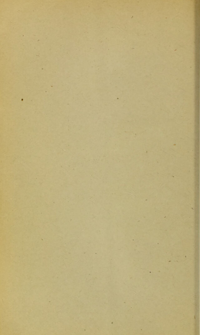 digitised image 2