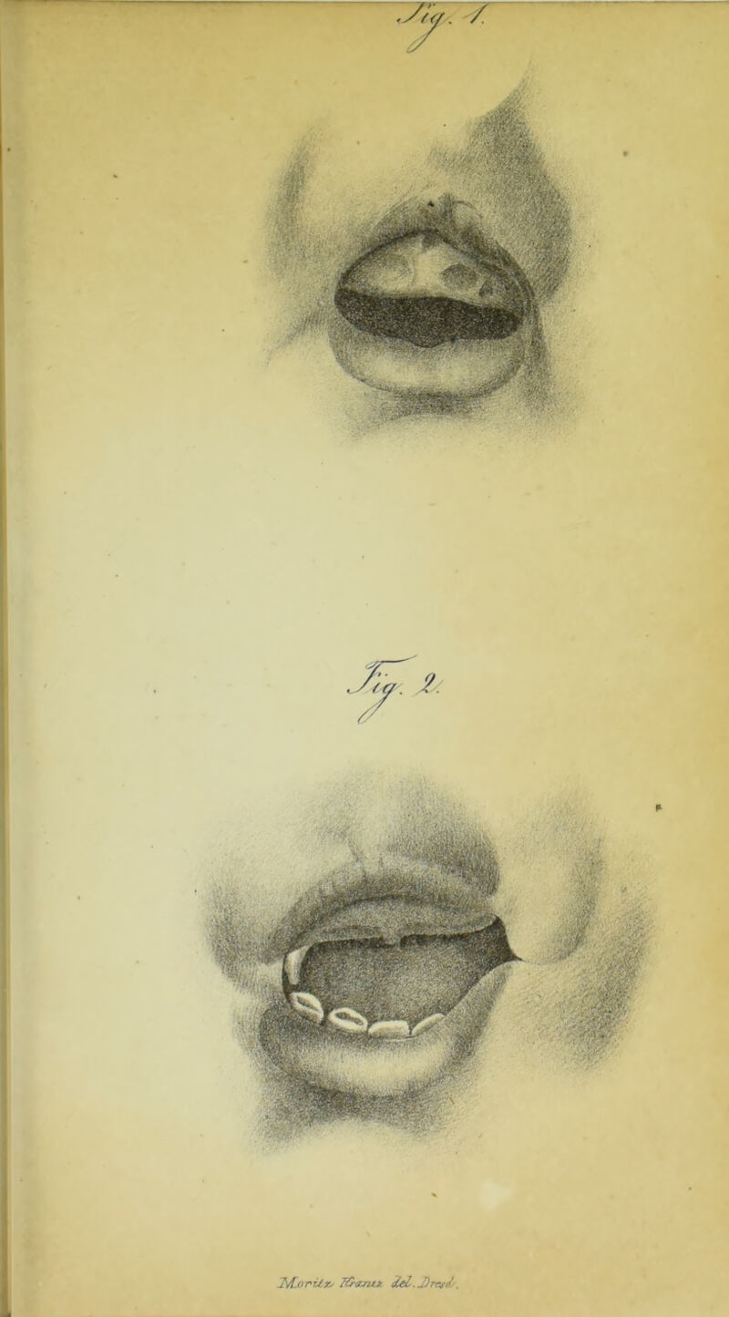 ilA.oriJ.jty TC-ajuk d^.J)rci'<^/.