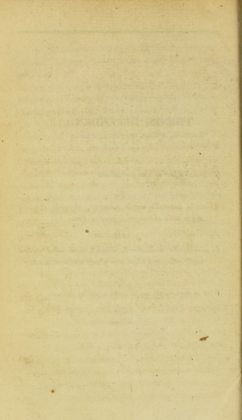 • V i A .. •> ^ ■J-. 4^' v/-' »i ifc'’* ' V». ,^X ■..*„ . ■ * ■* . -A.A •\ ^• ♦ . • ^ *..■» ' ' >4- • • ->: >- / \ k i t I / 1 j n