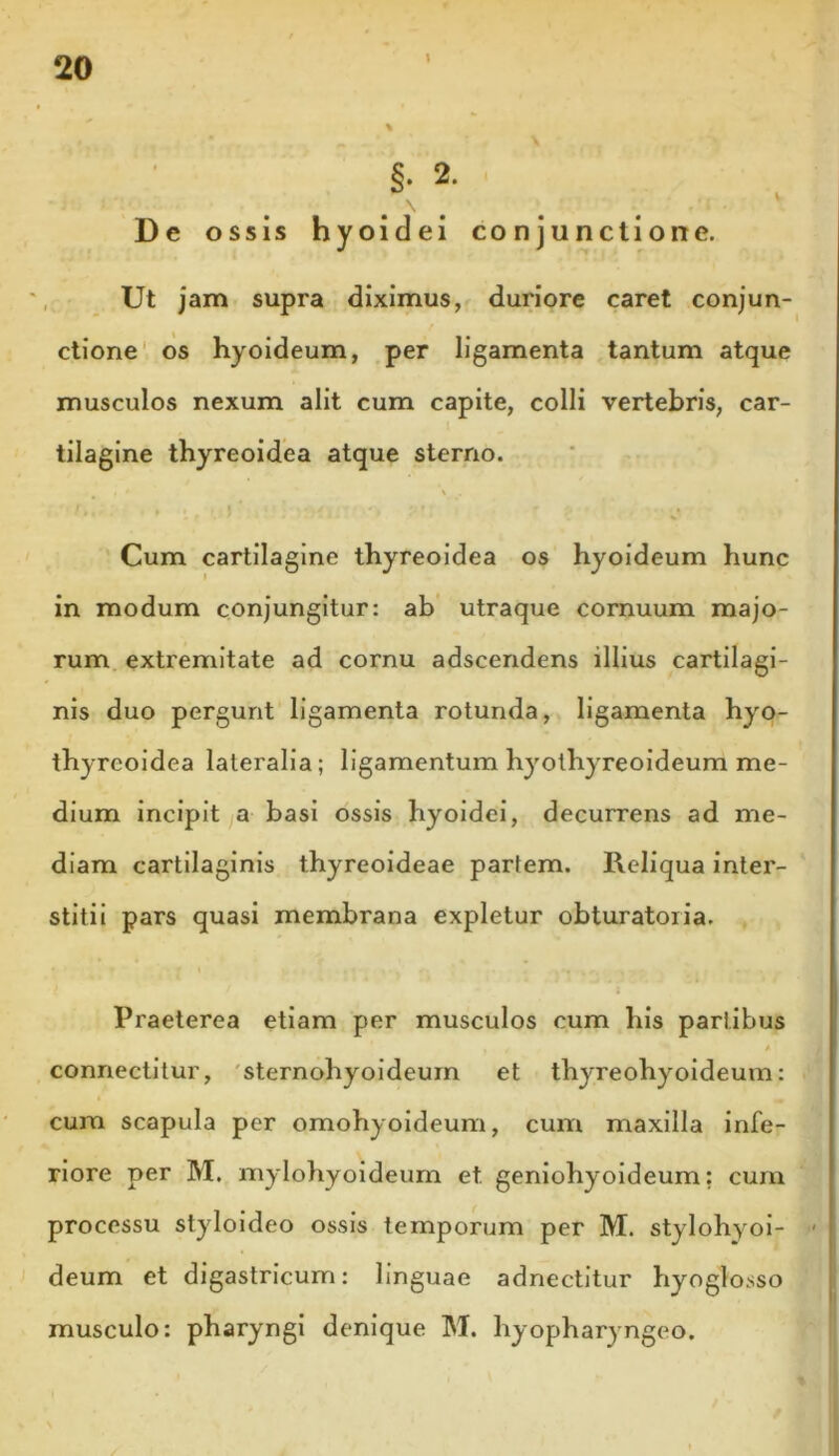 \ §• 2. De ossis hyoidei conjunctione. Ut jam supra diximus, duriore caret conjun- ctione os hyoideum, per ligamenta tantum atque musculos nexum alit cum capite, colli vertebris, car- tilagine thyreoidea atque sterno. Cum cartilagine thyreoidea os hyoideum hunc in modum conjungitur: ab utraque cornuum majo- rum extremitate ad cornu adscendens illius cartilagi- nis duo pergunt ligamenta rotunda, ligamenta hyo- thyrcoidea lateralia; ligamentum hyothyreoideum me- dium incipit a basi ossis hyoidei, decurrens ad me- diam cartilaginis thyreoideae partem. Reliqua inter- stitii pars quasi membrana expletur obturatoria. Praeterea etiam per musculos cum his partibus . f , '• A connectitur, sternohyoideum et thyreohyoideum: cura scapula per omohyoideum, cum maxilla infe- riore per M. mylohyoideum et. geniohyoideum: cum processu styloideo ossis temporum per M. stylohyoi- < deum et digastricum: linguae adnectitur hyoglosso musculo: pharyngi denique M. hyopharyngeo.