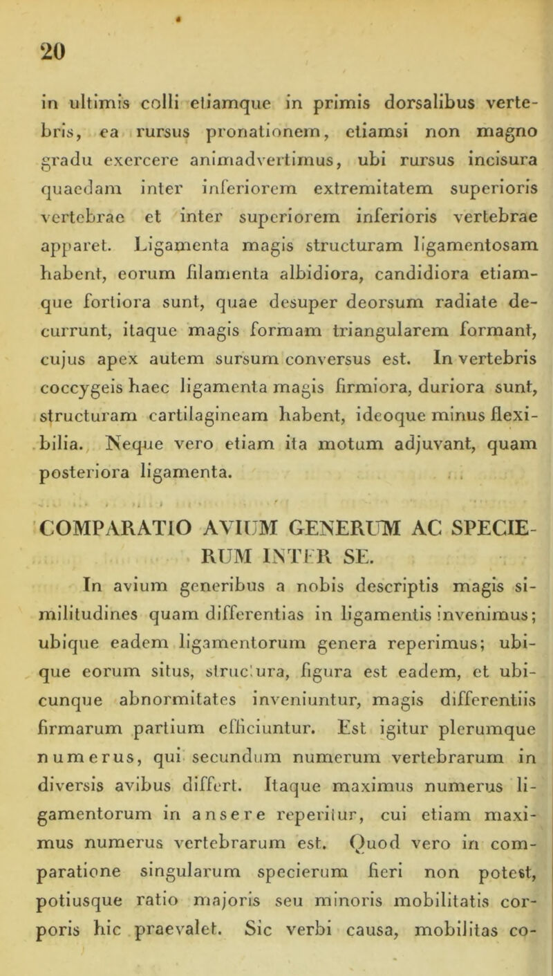 t in ultimis colli etiamque in primis dorsalibus verte- bris, ea rursus pronationem, etiamsi non magno gradu exercere animadvertimus, ubi rursus incisura quaedam inter inferiorem extremitatem superioris vertebrae et inter superiorem inferioris vertebrae apparet. Ligamenta magis structuram ligamentosam habent, eorum filamenta albidiora, candidiora etiam- que fortiora sunt, quae desuper deorsum radiate de- currunt, itaque magis formam triangularem formant, cujus apex autem sursum conversus est. In vertebris coccygeis haec ligamenta magis firmiora, duriora sunt, structuram cartilagineam habent, ideoque minus flexi- .bilia., Neque vero etiam ita motum adjuvant, quam posteriora ligamenta. i . , ■, 1 ' COMPARATIO AVIUM GENERUM AC SPECIE- RIJM IM I R SE. In avium generibus a nobis descriptis magis si- militudines quam differentias in ligamentis invenimus; ubique eadem ligamentorum genera reperimus; ubi- , que eorum situs, strue'.ura, figura est eadem, et ubi- cunque abnormitates inveniuntur, magis differentiis firmarum partium efficiuntur. Est igitur plerumque numerus, qui secundum numerum vertebrarum in diversis avibus differt. Itaque maximus numerus li- gamentorum in ansere reperiiur, cui etiam maxi- mus numerus vertebrarum est. Ouod vero in com- paratione singularum specierum fieri non potest, potiusque ratio majoris seu minoris mobilitatis cor- * poris hic praevalet. Sic verbi causa, mobilitas co-