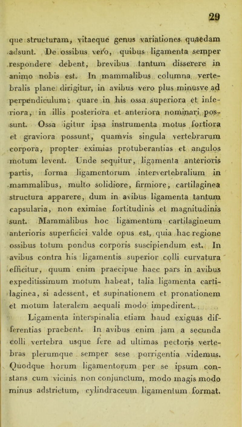 que structuram, vltaeque genus variationes quaedam adsunt. De.ossibus vei^b, quibus • ligamenta semper .respondere debent, brevibus tantum disserere in animo nobis est. In mammalibus columna, verte- bralis plane dirigitur, in avibus vero plus minusve ad perpendiculum; quare .in his ossa superiora et infe- riora, in illis posteriora et anteriora nominari, posr sunt. Ossa igitur ipsa instrumenta motus fortiora et graviora possunt, quamvis singula vertebrarum corpora, propter eximias protuberantias et angulos motum levent. Unde sequitur, ligamenta anterioris partis, forma ligamentorum intervertebralium in -mammalibus, multo solidiore, firmiore, cartilaginea structura apparere, dum in avibus ligamenta tantum capsularia, non eximiae fortitudinis ,et magnitudinis sunt. Mammalibus hoc ligamentum cartilagineum anterioris superficiei valde opus est, quia hac regione ossibus totum pondus corporis suscipiendum est. In avibus contra his ligamentis superior colli curvatura • efficitur, quum enim praecipue haec pars in avibus expeditissimum motum habeat, talia ligamenta carti- laginea, si adessent, et supinationem et pronationem et motum lateralem aequali modo impedirent. . I Ligamenta interspinalia etiam haud exiguas dif- ferentias praebent. In avibus enim jam a secunda colli vertebra usque fere ad ultimas pectoris verte- I bras plerumque semper sese porrigentia videmus. / I Quodque horum ligamentorum per se ipsum con- I stans cum vicinis non conjunctum, modo magis modo i minus adstrictum, cylindraccum ligamentum format.