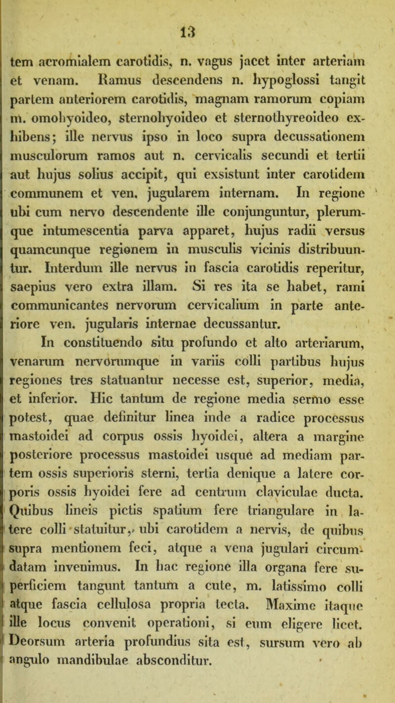 tem acromialem carotidis, n. vagus jacet inter arteriam et venam. Ramus descendens n. hypoglossi tangit pariem anteriorem carotidis, magnam ramorum copiam m. omohyoideo, sternohyoideo et sternothyreoideo ex- hibens; ille nervus ipso in loco supra decussationem musculorum ramos aut n. cervicalis secundi et tertii aut hujus solius accipit, qui exsistunt inter carotidem communem et ven. jugularem internam. In regione ubi cum nervo descendente ille conjunguntur, plerum- que intumescentia parva apparet, hujus radii versus quamcunque regionem in musculis vicinis distribuun- tur. Interdum ille nervus in fascia carotidis reperitur, saepius vero extra illam. Si res ita se habet, rami communicantes nervorum cervicalium in parte ante- riore ven. jugularis internae decussantur. In constituendo situ profundo et alto arteriarum, venamm nervorumque in variis colli partibus hujus regiones tres statuantur necesse est, superior, media, et inferior. Hic tantum de regione media sermo esse potest, quae definitur linea inde a radice processus mastoidei ad corpus ossis hyoidei, altera a margine posteriore processus mastoidei usque ad mediam par- tem ossis superioris sterni, tertia denicpie a latere cor- poris ossis hyoidei fere ad centrum claviculae ducta. Quibus lineis pictis spatium fere triangulare in la- tere colli statuitur,-ubi carotidem a nervis, de quibus supra mentionem feci, atque a vena jugulari circumi datam invenimus. In hac regione illa organa fere su- perficiem tangunt tantum a cute, m. latissimo colli atque fascia cellulosa propria lecta. Maxime itaque I ille locus convenit operationi, si eum eligere licet. i1 Deorsum arteria profundius sita est, sursum vero ab l angulo mandibulae absconditur.