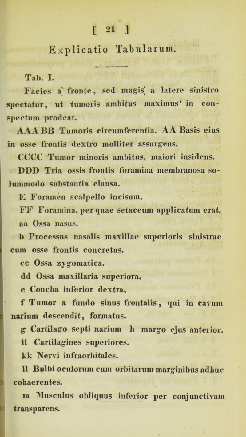 Explicatio Tabularum. Tai). I. Facies a’ fronte, sed magiis; a latere sinistro spectatur, ut tumoris ambitus juaxijuus' in con- spectum prodeat. AAA BB Tumoris circumferentia. A A Basis eius in osse frontis dextro molliter a-ssurg^ens. CCCC Tumor minoris ambitu.s, maiori insidens. DDD Tria ossis frontis foramina membranosa so- lummodo substantia clausa. E Foramen scalpello incisum, FF Foramina, per quae setaceiun applicatum erat, aa Ossa nasus. b Processus nasalis maxillae superioris sinistrae cum o.sse frontis concretus, cc Ossa zyg-omatica. dd Ossa maxillaria superiora, e Concha inferior dextra, f Tumor a fundo sinus frontalis, qui in cavum narium descendit, formatus. g Cartilag'© septi narium h marg-o ejus anterior, ii Cartilagfines superiores, kk Nervi infraorbitales. 11 Bulbi oculorum cum orbitarum marg^inibiis adhuc cohaerentes. IU Musculus obliquus inferior per conjunctivam transparens.