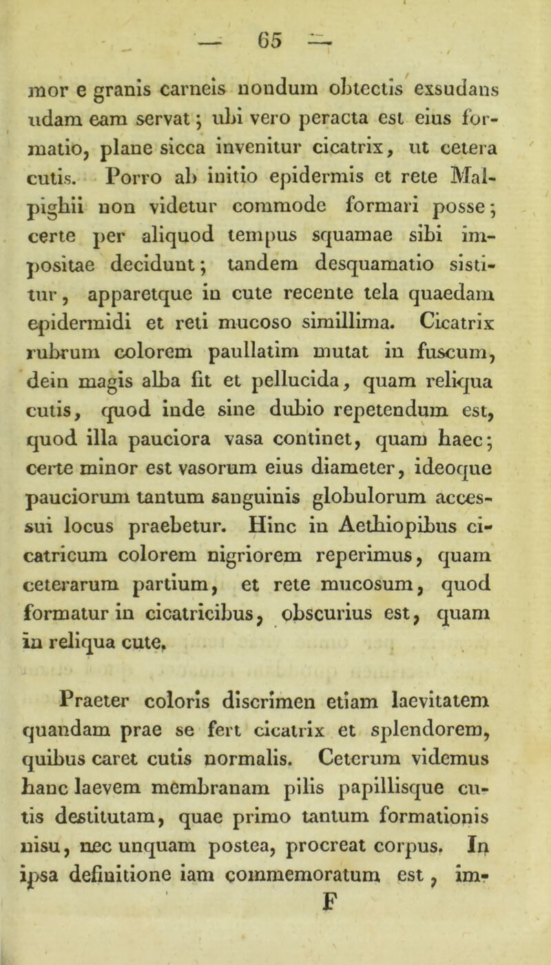 mor e granis carneis nondum obtectis exsudans udam eam servat; uhi vero peracta est eius for- matio, plane sicca invenitur cicatrix, ut cetera cutis. Porro al) initio epidermis et rete Mal- pigliii non videtur commode formari posse; certe per aliquod tempus squamae sibi im- positae decidunt; tandem desquamatio sisti- tur , apparetque in cute recente tela quaedam epidermidi et reti mucoso simillima. Cicatrix rubrum colorem paullatim mutat in fuscum, dein magis alba fit et pellucida, quam reliqua cutis, quod inde sine dubio repetendum est, quod illa pauciora vasa continet, quam haec; certe minor est vasorum eius diameter, ideoque pauciorum tantum sanguinis globulorum acces- sui locus praebetur. Hinc in Aethiopibus ci- catricum colorem nigriorem reperimus, quam ceterarum partium, et rete mucosum, quod formatur in cicatricibus, obscurius est, quam in reliqua cute. Praeter coloris discrimen etiam laevitatem quandam prae se fert cicatrix et splendorem, quibus caret cutis normalis. Ceterum videmus hanc laevem membranam pilis papillisque cu- tis destitutam, quae primo tantum formationis nisu, nec unquam postea, procreat corpus. In ipsa definitione iam commemoratum est, im- F