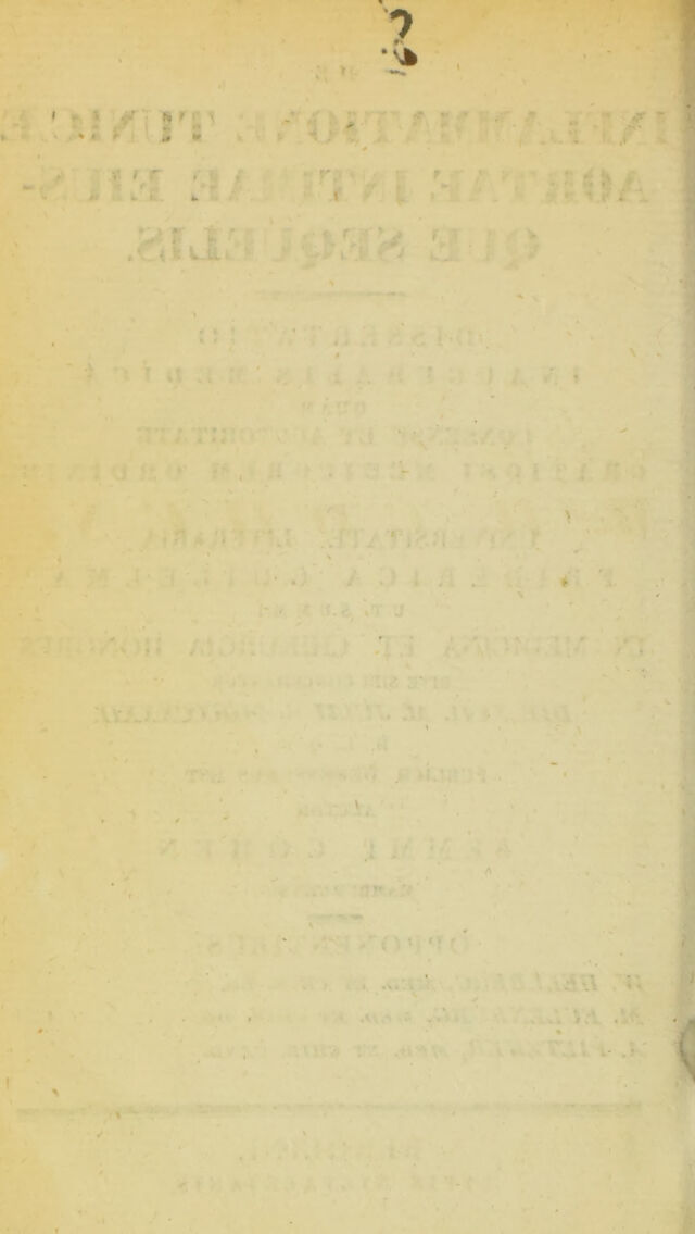 digitised image 2