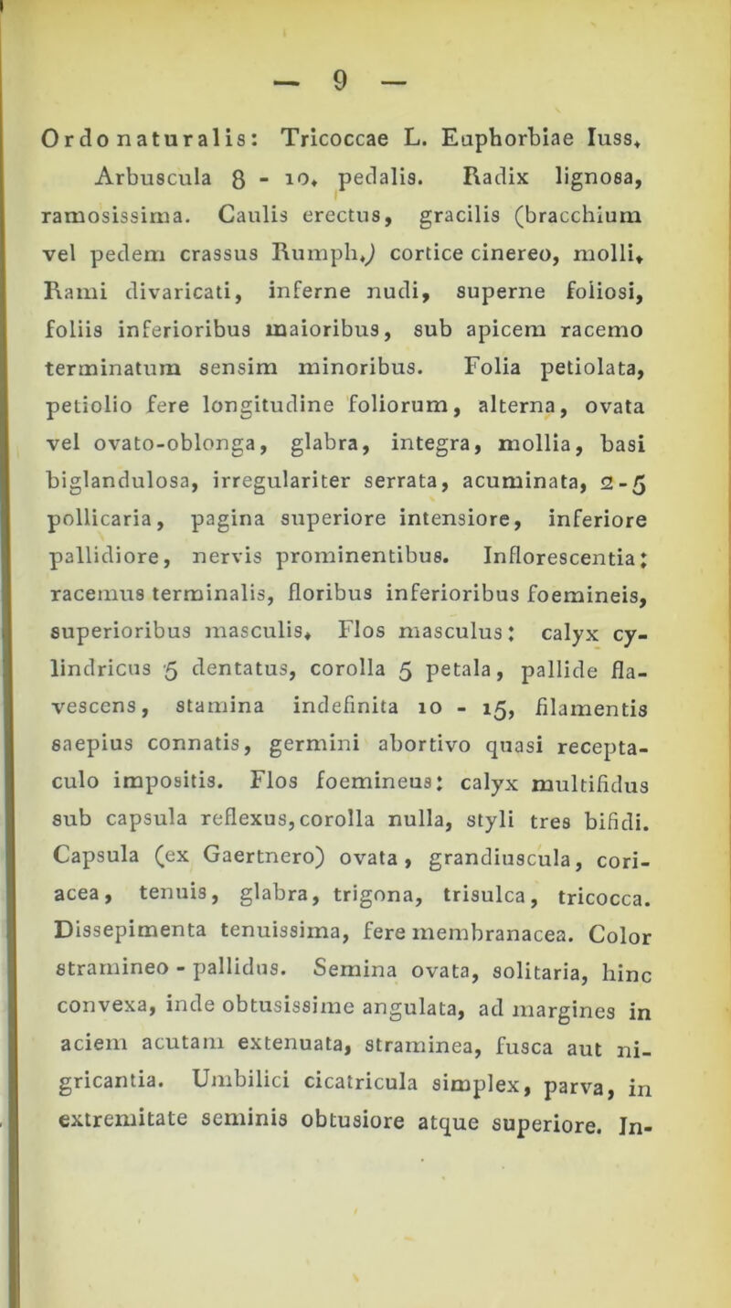 — 9 - Ordo naturalis: Tricoccae L. Euphorbiae Iuss, Arbuscula 8 - io, pedalis. Radix lignosa, ramosissima. Caulis erectus, gracilis (bracchium vel pedem crassus Rumph,,) cortice cinereo, molli. Rami divaricati, inferne nudi, superne foliosi, foliis inferioribus maioribus, sub apicem racemo terminatum sensim minoribus. Folia petiolata, petiolio fere longitudine foliorum, alterna, ovata vel ovato-oblonga, glabra, integra, mollia, basi biglandulosa, irregulariter serrata, acuminata, 2-5 pollicaria, pagina superiore intensiore, inferiore pallidiore, nervis prominentibus. Inflorescentia; racemus terminalis, floribus inferioribus foemineis, superioribus masculis. Flos masculus; calyx cy- lindricus 5 dentatus, corolla 5 petala, pallide fla- vescens, stamina indefinita 10 - 15, filamentis saepius connatis, germini abortivo quasi recepta- culo impositis. Flos foemineus; calyx multifidus sub capsula reflexus,corolla nulla, styli tres bifidi. Capsula (ex Gaertnero) ovata, grandiuscula, cori- acea, tenuis, glabra, trigona, trisulca, tricocca. Dissepimenta tenuissima, fere membranacea. Color stramineo - pallidus. Semina ovata, solitaria, hinc convexa, inde obtusissime angulata, ad margines in aciem acutam extenuata, straminea, fusca aut ni- gricantia. Umbilici cicatricula simplex, parva, in extremitate seminis obtusiore atque superiore. Jn-