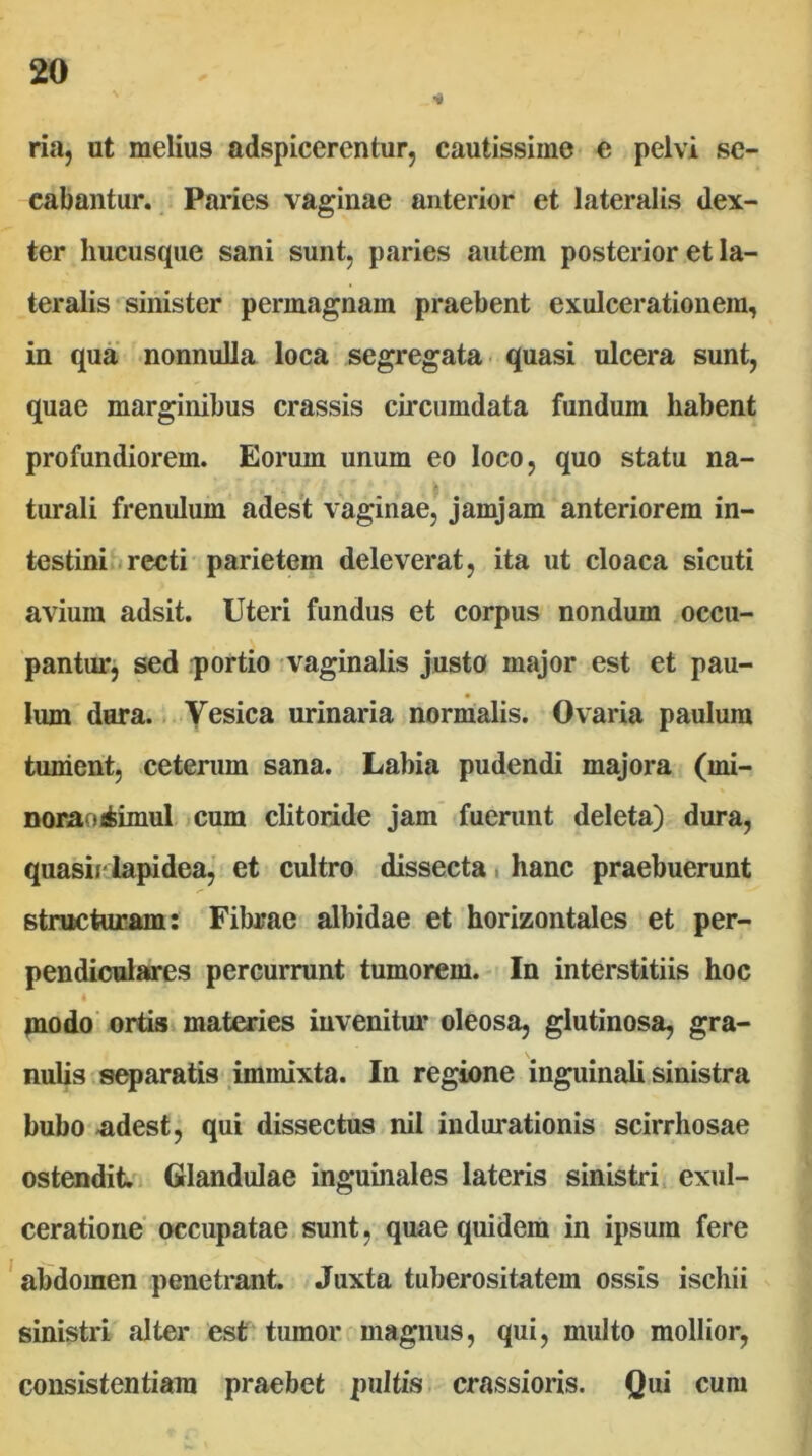 ria, ut melius adspicerentur, cautissime- e pelvi se- cabantur. Paries vaginae anterior et lateralis dex- ter hucusque sani sunt, paries autem posterior et la- teralis sinister permagnam praebent exulcerationem, in qua nonnulla loca segregata - quasi ulcera sunt, quae marginibus crassis circumdata fundum habent profundiorem. Eorum unum eo loco, quo statu na- turali frenulum adest vaginae,* jamjam anteriorem in- testinis recti parietem deleverat, ita ut cloaca sicuti avium adsit. Uteri fundus et corpus nondum occu- pantur, sed q)ortio vaginalis justo major est et pau- lum dura.. Yesica urinaria normalis. Ovaria paulum tument, ceterum sana. Labia pudendi majora (mi- Doraoctimul icum clitoride jam fuerunt deleta) dura, quasif iapidea, et cultro dissecta • hanc praebuerunt structuram: Fibrae albidae et horizontales et per- pendiculares percurrunt tumorem. In interstitiis hoc 4 piodo' ortis materies iuvenitm* oleosa, glutinosa, gra- nulis separatis immixta. In regione inguinali sinistra bubo <adest, qui dissectus nil indurationis scirrhosae ostendit. 1 Glandulae inguinales lateris sinistri, exul- ceratione occupatae sunt, quae quidem in ipsum fere abdomen penetrant. Juxta tuberositatem ossis ischii sinistri alter est tumor magnus, qui, multo mollior, consistentium praebet pultis, crassioris. Qui cura