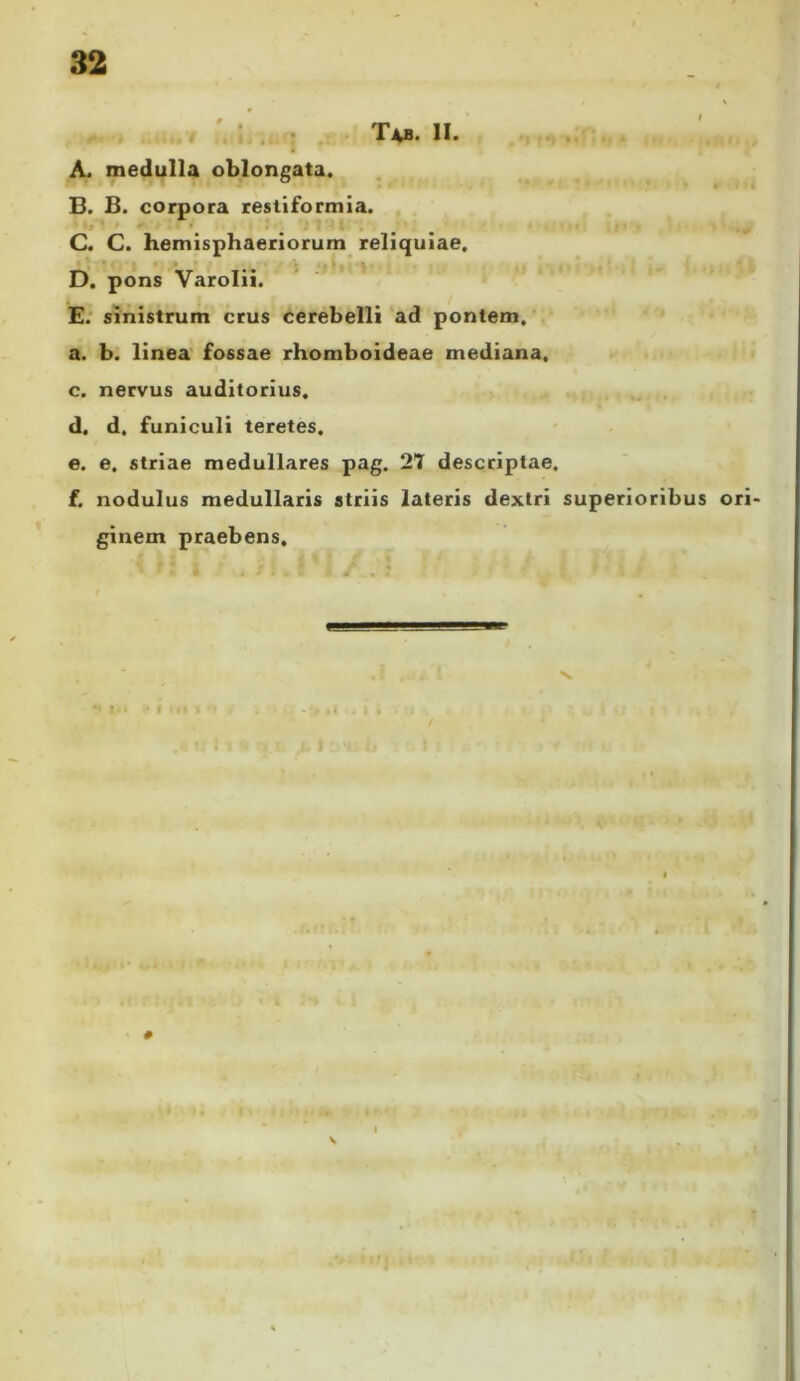 ’ . : Tv». II. ^ A. medulla oblongata. B. B. corpora restiformia. C. C. hemisphaeriorum reliquiae. D. pons Varolii. E. sinistrum crus cerebelli ad pontem, a. b. linea fossae rhomboideae mediana. c. nervus auditorius. d. d. funiculi teretes. e. e. striae medullares pag. 2T descriptae. f. nodulus medullaris striis lateris dextri superioribus ori- ginem praebens. #