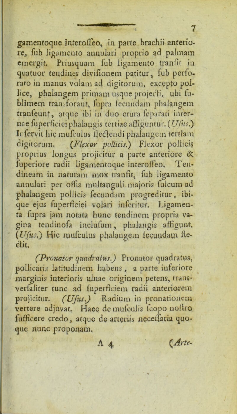 gamentoque interoffieo, in parte brachii anterio- re, fub ligamento annulari proprio ad palmam emergit. Priusquam fub ligamento tranilt in quatuor tendines divifionem patitur, fub perfo- rato in manus volam ad digitorum, excepto pol- lice, phalangem primam usque projedi, ubi fu- blimem transforant, fupra fecundam phalangem tranfeunt, atque ibi in duo crura (eparati inter- nae luperficiei phalangis tertiae affiguntur. (Ufiif) Irfervil hic mufculus iiedendi phalangem tertiam digitorum, (Flexor pollicis.) Flexor pollicis proprius longus projicitur a parte anteriore &; fuperiore radii iigamentoque interoffeo. Ten- dineam in naturam mox tranfit, fub ligamento annulari per offis multanguli majoris fulcum ad phalangem pollicis fecundam progreditur, ibi- que ejus fuperficiei volari inferitur. Ligamen- ta fupra jam notata hunc tendinem propria va- gina tendinofa inclulum, phalangis affigunt. (Ufus) Hic mufculus phalangem fecundam de- dit. (Pronator quadratus.) Pronator quadratus, pollicaris latitudinem habens, a parte inferiore marginis interioris ulnae originem petens, trans- verfaliter tunc ad fuperficiem radii anteriorem projicitur. (Ufus.) Radium in pronationem vertere adjuvat. Haec de mufculis fcopo noflro fufficere credo, atque de arteriis neceffaria quo- que nunc proponam. A 4 CArte,