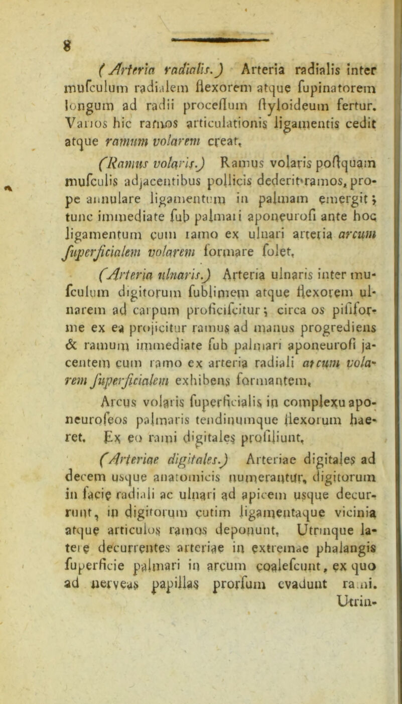(Arteria radiatu.) Arteria radialis inter mufculum radialem flexorem atque fupinatorem longum ad radii proceflum ftyloideum fertur. Vanos hic ramos articulationis ligamentis cedit atque ramum volarem creat, (Ramus volaris.) Ramus volaris poftquam mufculis adjacentibus pollicis dederitmamos, pro- pe annulare ligamentum in palmam emergit j tunc immediate fub palmati aponeurofi ante hoq ligamentum cum ramo ex ulnari arteria arcum fiqjerjicialeni volarem lormare folet, (Arteria ulnaris.) Arteria ulnaris inter mu- fculum digitorum fublimem atque liexorem ul- narem ad carpum proficifcitur \ circa os pitilot> me ex ea projicitur ramus ad manus progrediens & ramum immediate fub palmari aponeurofi ja- centem cum ramo ex arteria radiali at cum vola- rem fuperfuialem exhibens formantem, Arcus volaris fuperficialis in complexu apo- neurofeos palmaris tendinumque flexorum hae- ret. Ex eo rami digitales profiliunt, (Arteriae digitales.) Arteriae digitales ad decem usque anatomicis numerantur, digitorum in facie radiali ac ulnari ad apicem usque decur- runt, in digitorum cutim ligamentaque vicinia atque articulos ramos deponunt, Utrmque la- tere decurrentes arteriae in extremae phalangis fuperficie palmari in arcum coalefcunt, ex quo ad nerveys papillas prorfum evaduut rami. Utria-