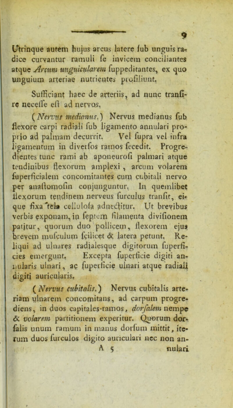 Utrinque autem hujus arcus latere lub unguis ra-r dice curvantur ramuli fe invicem conciliantes atque Anum unguictilarem fuppeditantes, ex quo unguium arteriae nutrientes profiliunt. Sufficiant haec de arteriis, ad nunc tranfi- re necelle ell ad nervos. ( Nerviis medianus.) Nervus medianus fub flexore carpi radiali fub ligamento annulari pro- prio ad palmam decurrit. Vel fupra vel infra ligamentum in diveifos ramos fecedit. Progre- dientes tunc rami ab aponeurofi palmari atque tendinibus flexorum amplexi , arcum volarem fuperficialem concomitantes gum cubitali nervo per anaftomofln conjunguntur. In quemlibet flexorum tendinem nerveus furculus tranfit, ei« que fixa'tela cellulola adneeflitur. Ut brevibus verbis exponam, io feptem filamenta divifionem patjtur, quorum duo pollicem, flexorem ejus brevem mufculum fcilicet & latera petunt. Re- liqui ad ulnares radialesque digitorum fuperfi» cies emergunt. Excepta fuperficie digiti an- nularis ulnari, ag fuperficie ulnari atque radiali digiti auricularis. ( Nervus cubitalis.) Nervus cubitalis arte- riam ulnarem concomitans, ad carpum progre- diens, in duos capitales-ramos, dorfalem nempe di. volarem partitionem experitur. Quorum dot> falis unum ramum in manus dorfum mittit, ite- rum duos furculos digito auriculari ncc non an- A 5 nuiari