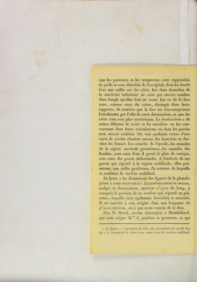 que les pariétaux et les temporaux sont rapprochés et qu’ils se sont détachés de l’occipital, dont les bords font une saillie sur les côtés. Les deux branches de la mâchoire inférieure ne. sont pas encore soudées dans l’angle qu’elles font en avant. Les os de la face sont, comme ceux du crâne, dérangés dans leurs rapports, de manière que la face est très-comprimée latéralement par l’effet de cette dessiccation, et que les côtés n’en sont plus symétriques. La dessiccation a de même déformé le tronc et les membres en les con- tournant dans leurs articulations ou dans les parties non encore ossifiées. On voit quelques traces d’une sorte de croûte charnue autour des humérus et der- rière les fémurs. Les muscles de l’épaule, les muscles de la région cervicale postérieure, les muscles des lombes, sont ceux dont il paraît le plus de vestiges, avec ceux des parois abdominales. A l’endroit de ces parois qui répond à la région ombilicale, elles pré- sentent une saillie pyriforme, du sommet-de laquelle S6 continue le cordon ombilical. Ce fœtus a les dimensions des figures de la planche jointe à cette observation K Le cordon conserve encore, malgré sa dessiccation, environ o“,4io de long, y compris la portion de ce cordon qui répond au pla- centa, laquelle était également desséchée et racornie. Il est tuméfié à son. origine dans une longueur de o™,oio environ, ainsi que nous venons de le dire. Feu M. Morel, ancien chirurgien à Montbéliard, qui avait soigné M.*”' G, pendant sa grossesse, et qui t La figure ireprésente la tête vue exactement de profil. Les fig. 2 et 3 moutrent le foetus tout entier avec le cordon ombilical.