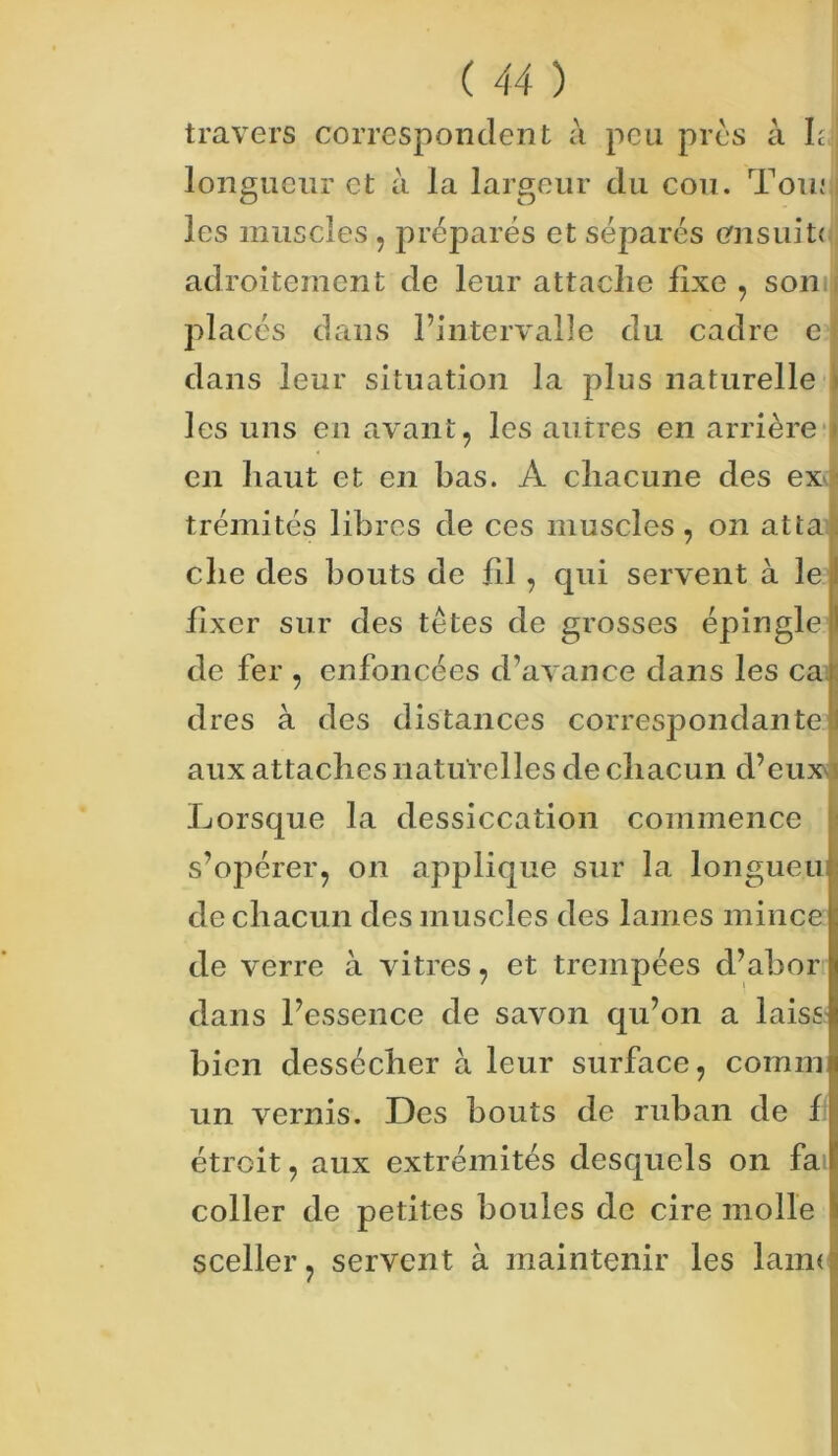 travers correspondent à peu près à h longueur et à la largeur du cou. Tou; les muscles, préparés et séparés ensuit; adroitement de leur attache fixe , son placés dans l’intervalle du cadre e dans leur situation la plus naturelle les uns en avant, les autres en arrière en haut et en bas. A chacune des ex trémités libres de ces muscles, on atta che des bouts de fil , qui servent à le fixer sur des têtes de grosses épingle ! de fer , enfoncées d’avance dans les ca dres à des distances correspondante aux attaches naturelles de chacun d’eux Lorsque la dessiccation commence s’opérer, on applique sur la longueu de chacun des muscles des lames mince de verre à vitres, et trempées d’abor dans l’essence de savon qu’on a laiss bien dessécher à leur surface, comm un vernis. Des bouts de ruban de f étroit, aux extrémités desquels on fa coller de petites boules de cire molle sceller, servent à maintenir les lairn