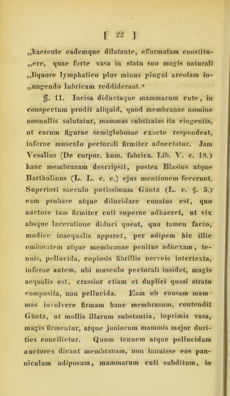 ,,haerente eademque dilatante, efTorinatam constitu- ,,ere, quae forte vasa in statu suo magis naturali ,,liquore lymphatico plus minus pingui areolam in- cingendo lubricam reddiderant.” §. 11. Incisa diductaque mammarum cute, in conspectum prodit aliquid, quod membranae nomine nonnullis salutatur, mammas substratas ita cingentis, ut earum figurae semiglobosae exacte respondeat, inferne musculo pectorali firmiter adnectatur. Jam Ve sal i us (De corpor. lium. fabrica. Lib. V. c. 18.) hanc membranam descripsit, postea Blasius atque Bartholinus (L. L. c. c.) ejus mentionem fecerunt. Superiori saeculo potissimum Giintz (L. c. §. 5.)’ eam probare atque dilucidare conatus est, quo auctore tam firmiter cuti superne adhaeret, ut vix absque laceratione diduci queat, quo tamen facto, modice inaequalis apparet, per adipem hic illic eminentem atque membranae penitus adnexam, te- nuis, pellucida, copiosis fibrillis nerveis intertexta, inferne autem, ubi musculo pectorali insidet, magis aequalis est, crassior etiam et duplici quasi strato composita, non pellucida. Eam ob causam mam- mas involvere firmam hanc membranam, contendit Giintz, ut mollis illarum substantia, inprimis vasa, magis firmentur, atque juniorum mammis major duri- ties concilietur. Quum tenuem atque pellucidam auctores dicant membranam, non innuisse eos pan- niculum adiposum, mammarum cuti subditum, in