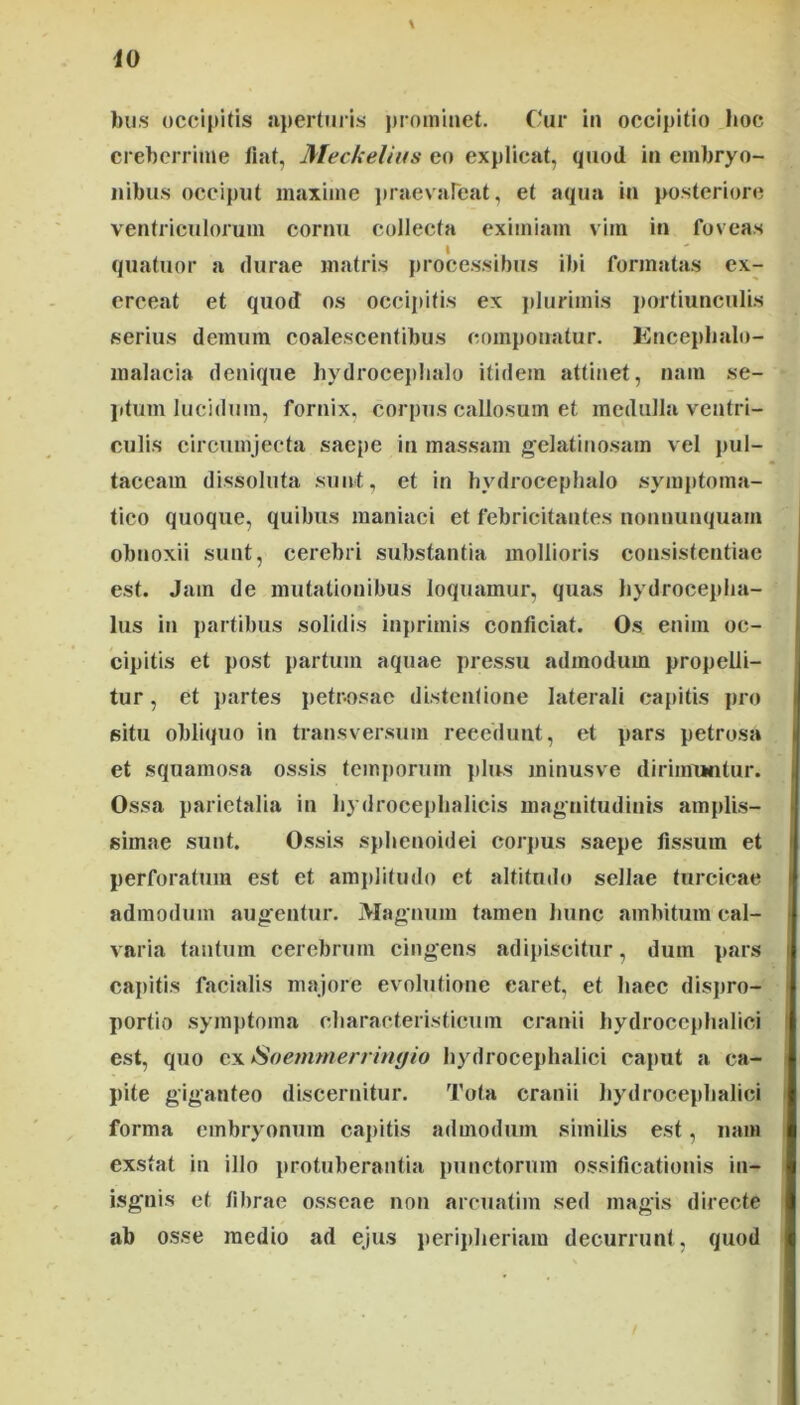 iO biis occipitis upertuiis j)rominct. Cur iti occipitio Iioc crehcrriine fiat, Meckelius eo explicat, quod iii embryo- nibus occiput maxime itraevaPeat, et aqua in posteriore ventriculorum cornu collecta eximiam vim in foveas quatuor a durae matns processibus ibi formatas ex- erceat et quod os occipitis ex jilurimis jiortiunculis serius demum coalescentibus componatur. Encepbalo- malacia denique liydrocejihalo itidem attinet, nam se- jitum lucidum, fornix, corpus callosum et medulla ventri- culis circumjecta saepe in massam g^elatinosara vel pul- taccam dissoluta sunt, et in bydroceplialo symptoma- tico quoque, quibus maniaci et febricitantes nonnunquam obnoxii sunt, cerebri substantia mollioris consistcntiae est. Jam de mutationibus loquamur, quas liydroceplia- lus in partibus solidis inprimis conficiat. Os enim oc- cipitis et post partum aquae pressu admodum propelli- tur , et partes petr-osac distentione laterali capitis pro situ obliquo in transversum recedunt, et pars petrosa et squamosa ossis temporum jilus minusve dirimuntur. Ossa parietalia in liydrocepbalicis magnitudinis amplis- simae sunt. Ossis spbenoidei corpus saepe fissum et perforatum est et amplitudo et altitudo sellae turcicae admodum augentur. Magnum tamen liunc ambitum cal- varia tantum cerebrum eingens adipiscitur, dum pars capitis facialis nuijore evolutione caret, et liaec dispro- portio symptoma cliaracteristicum cranii liydroccplialici est, quo cy^iSoemmerriiujio bydrocephalici caput a ca- pite giganteo discernitur. Tota cranii liydroceplialici forma embryonum capitis admodum similis est, nam exstat in illo protuberantia punctorum ossificationis in- isgnis et fibrae osseae non arcuatim sed magis directe ab osse medio ad ejus periplicriam decurrunt, quod