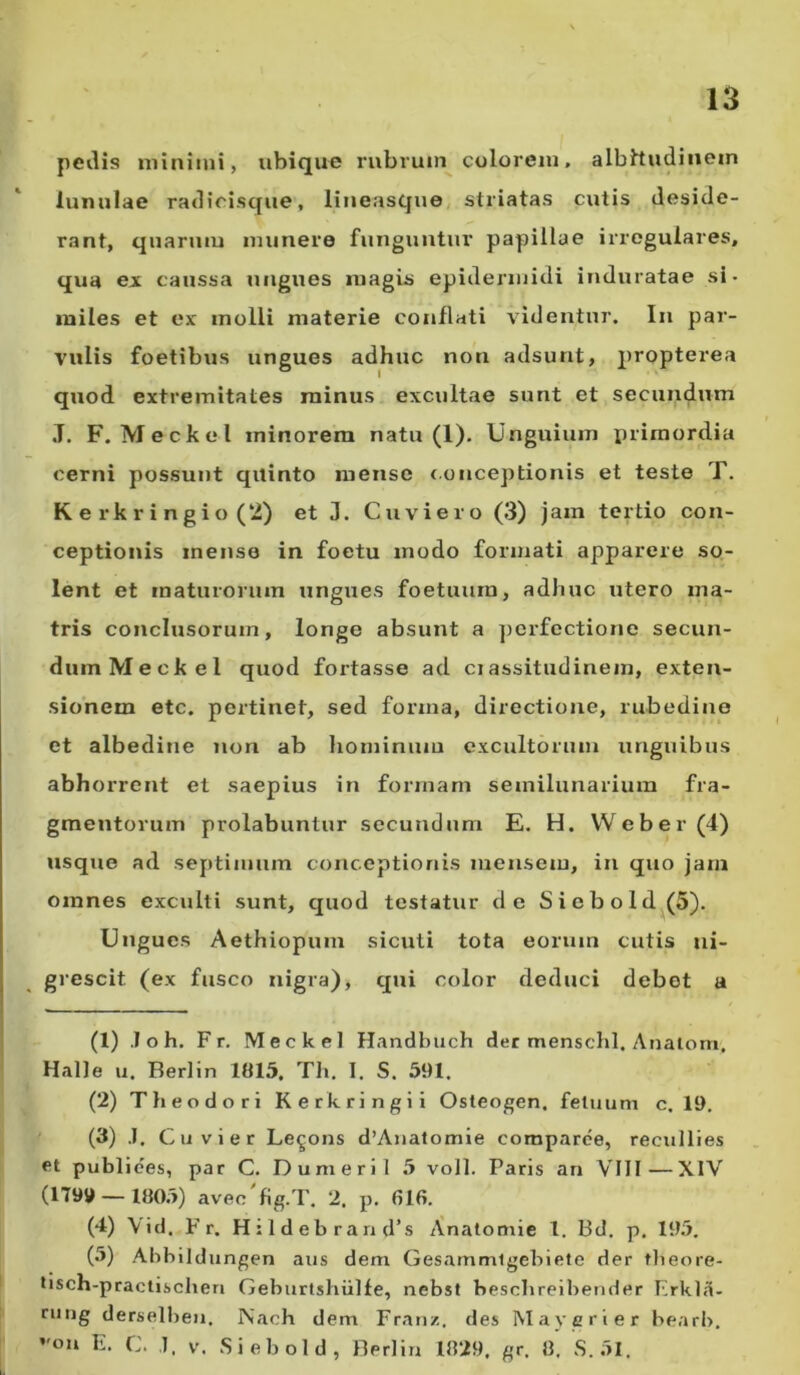 pedis minimi, ubique rubrum colorem, albitudinem lunulae radicisque, lineasque striatas cutis deside- rant, quarum munere funguntur papillae irregulares, qua ex caussa ungues magis epidermidi induratae si- miles et ex molli materie conflati videntur. In par- vulis foetibus ungues adhuc non adsunt, propterea quod extremitates minus excultae sunt et secundum J. F. Meckel minorem natu (1). Unguium primordia cerni possunt quinto mense conceptionis et teste T. K. e rk r i n g i o (2) et J. Cuviero (3) jam tertio con- ceptionis inense in foetu modo formati apparere so- lent et maturorum ungues foetuum, adhuc utero ma- tris conclusorum, longe absunt a perfectione secun- dum Meckel quod fortasse ad crassitudinem, exten- sionem etc. pertinet, sed forma, directione, rubedine et albedine non ab hominum excultorum unguibus abhorrent et saepius in formam semilunarium fra- gmentorum prolabunlur secundum E. H. Weber (4) usque ad septimum conceptionis mensem, in quo jam omnes exculti sunt, quod testatur de Siebold(5). Ungues Aethiopum sicuti tota eorum cutis ni- grescit (ex fusco nigra), qui color deduci debet a (1) Joh. F r. Meckel Handbuch der menschl, Anaiom. Halle u. Rerlin 1015. Tli. I. S. 591. (2) Theodori Kerkringii Osteogen. fetuum c. 19. (3) .1. Cu vier Le^ons dWnatomie comparce, reeullies et publices, par C. Dumeril 5 voll. Paris an VIII—XIV (1799 — 1005) aveo fig.T. 2, p. 616. (4) \id, F r. H i 1 d e b r a n d’s Anatomie l. Bd. p. 195. (5) Abbildungen aus dem Gesammlgebiete der theore- tisch-practisclieri Geburtshiille, nebst beschreibender Frkla- rung derselben. Nach dem Franz. des May er i er bearb. °“ E- C. .1. v. Siebold, Rerlin 1029. gr. 0. S.51.