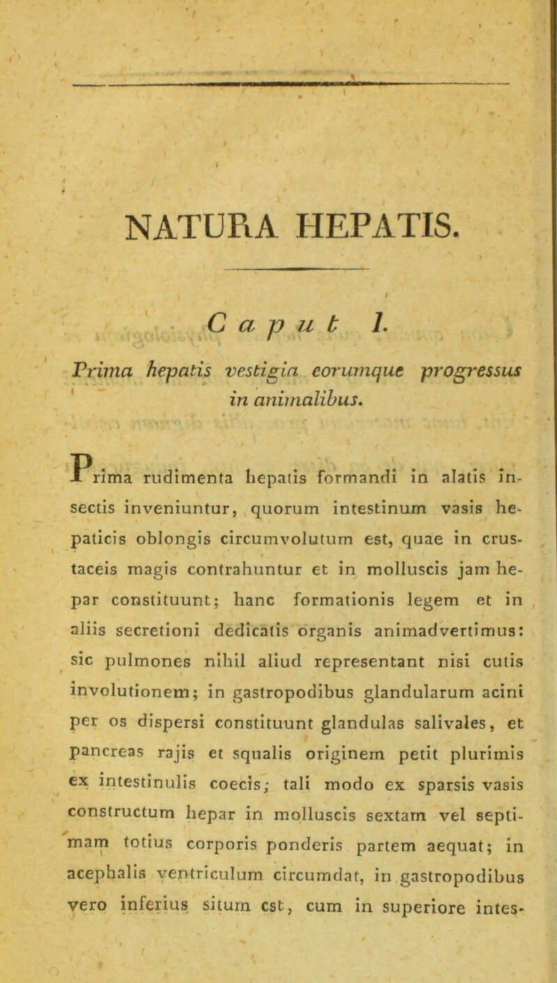 1 t ^ » * I J NATURA HEPATIS. . ^ ^ • C a p u b h » Prima hepatis vestigia eorumque progressus ' in animalibus. Prima rudimenta hepatis formandi in alatis in- sectis inveniuntur, quorum intestinum vasis he- paticis oblongis circumvolutum est, quae in crus- tacels magis contrahuntur et in molluscis jam he- par constituunt; hanc formationis legem et in aliis secretioni dedicatis organis animadvertimus: sic pulmones nihil aliud representant nisi cutis involutionem; in gastropodibus glandularum acini per os dispersi constituunt glandulas salivales, et pancreas rajis et squalis originem petit plurimis ex intestinulis coecis; tali modo ex sparsis vasis constructum hepar in molluscis sextam vel septi- * , marn totius corporis ponderis partem aequat; in acephalis ventriculum circumdat, in gastropodibus yerq inferius silum est, cum in superiore intes- /