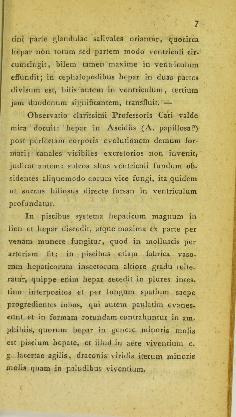 tini parle glandulae sallvales oriantur, quocirca hepar non totum sed partem modo ventriculi cir- cumcirigit, bilem tamen maxime in veritriculum effundit; in cephalopodibus hepar in duas partes divisum est, bilis autem in ventriculum, tertium jam duodenum significantem, transfluit. — Observatio clarissimi Professoris Cari valde mira docuit: hepar in Ascidiis (A. papillosa?) post perfectam corporis evolutionem demum for- mari; canales visibiles excretorios non invenit, judicat autem: sulcos altos ventricnli fundum ob- sidentes aliquomodo eorum vice fungi, ita quidem ut succus biliosus directe forsan in ventriculum profundatur. In piscibus systema hepaticum magnum in lien et hepar discedit, atque maxima ex parte per venam munere fungitur, quod in molluscis per arteriam fit; jn piscibus etiam fabrica vaso- rnm hepaticorum insectorum altiore gradu reite- ratur, quippe enim hepar secedit in plures intes- tino interpositos et per longum spatium saepe progredientes lobos, qui autem paulatim evanes- cunt et in formam rotundam contrahuntur in arn-j phibiis, quorum hepar in genere minoris molis est piscium hepate, et iflud in aere viventium e. g. lacertae agilis, draconis viridis iterum minoris molis quam io paludibus viventium. \
