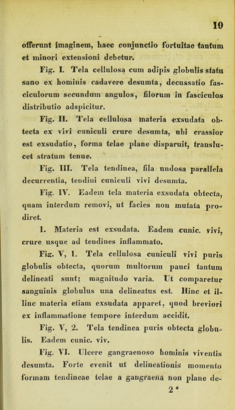 10 offerunt imaginem, haec conjunctio fortuitae tantum et minori extensioni debetur. Fig. I. Tela cellulosa cum adipis globulis statu sano ex hominis cadavere desumta, decussatio fas- ciculorum secundum angulos, filorum in fasciculos distributio adspicitur. Fig. II. Tela cellulosa materia «xsudata ob* tecta ex vivi cuniculi crure desumta, ubi crassior est exsudatio, forma telae plane disparuit, translu- cet stratum tenue. Fig. III. Tela tendinea, fila undosa parallela decurrentia, tendini cuniculi vivi desumta. Fig. IV. Eadem tela materia exsudata obtecta, quam interdum removi, ut facies non mutata pro- diret. 1. Materia est exsudata. Eadem cunic. vivi, crure usque ad tendines inflammato. Fia:. V, l. Tela cellulosa cuniculi vivi puris globulis obtecta, quorum multorum pauci tantum delineati sunt; magnitudo varia. Ut comparetur sanguinis globulus una delincatus est. Hinc et il- linc materia etiam exsudata apparet, quod breviori ex inflammatione tempore interdum accidit. Fig. V, 2. Tela tendinea puris obtecta globti^ lis. Eadem cunic. viv. Fig. VI. Ulcere gangraenoso hominis viventis desumta. Forte evenit ut delineationis momento formam tendineae telae a gangraena non plane de- 2*