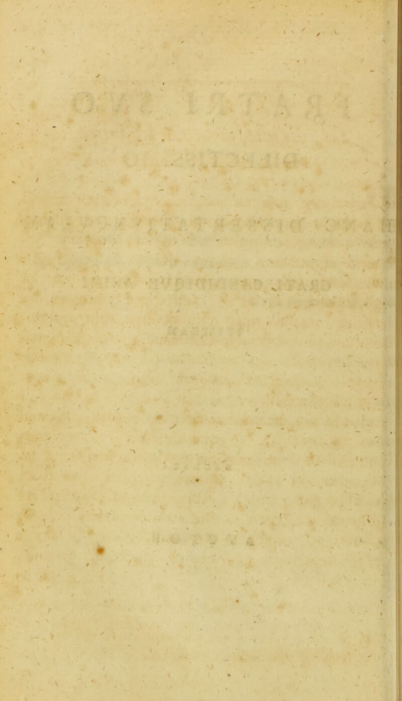 V ' ■ T -  • ■ • ' : 5 ■>. - • > !\* * rM ' ' ’ • . - * . T :• ’ « 1 f «• l ‘ ' - V . ’ V ; . ' J* \ • •