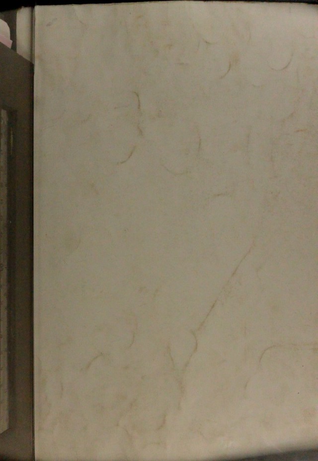 digitised image 1
