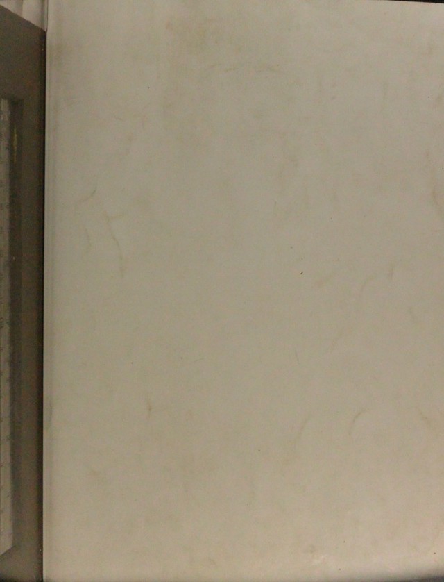 digitised image 1
