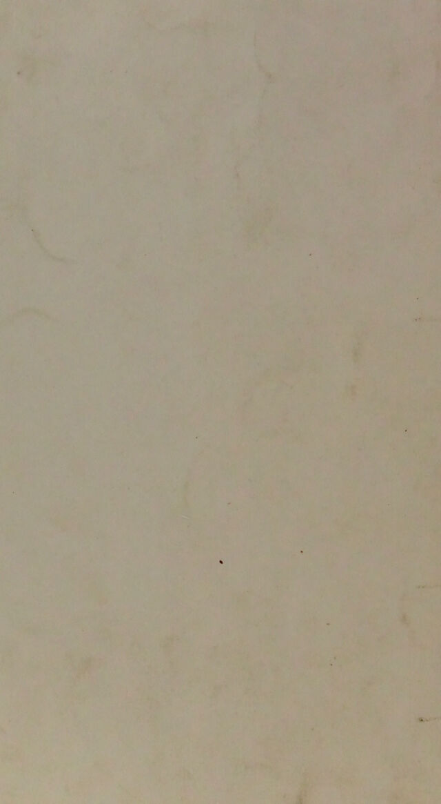 digitised image 2