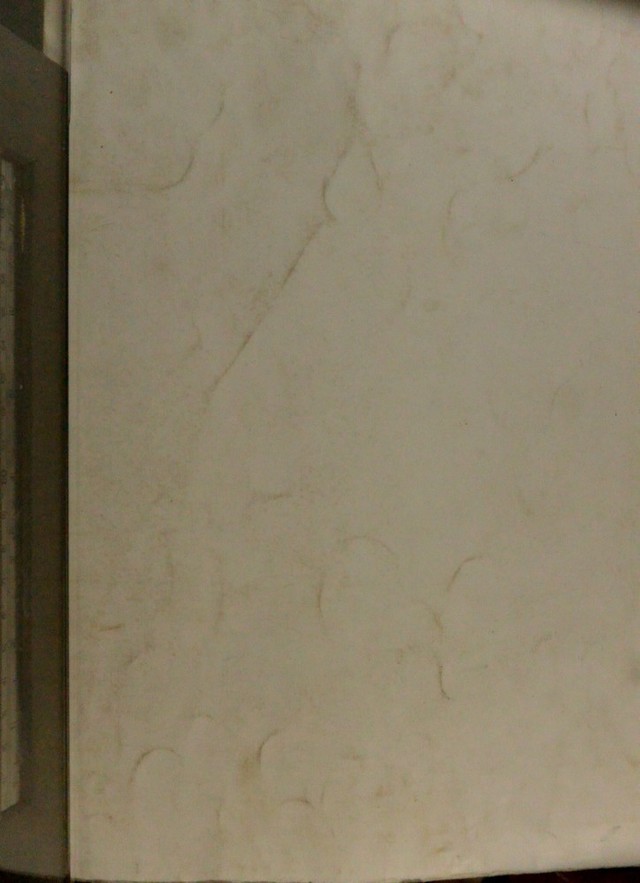 digitised image 1