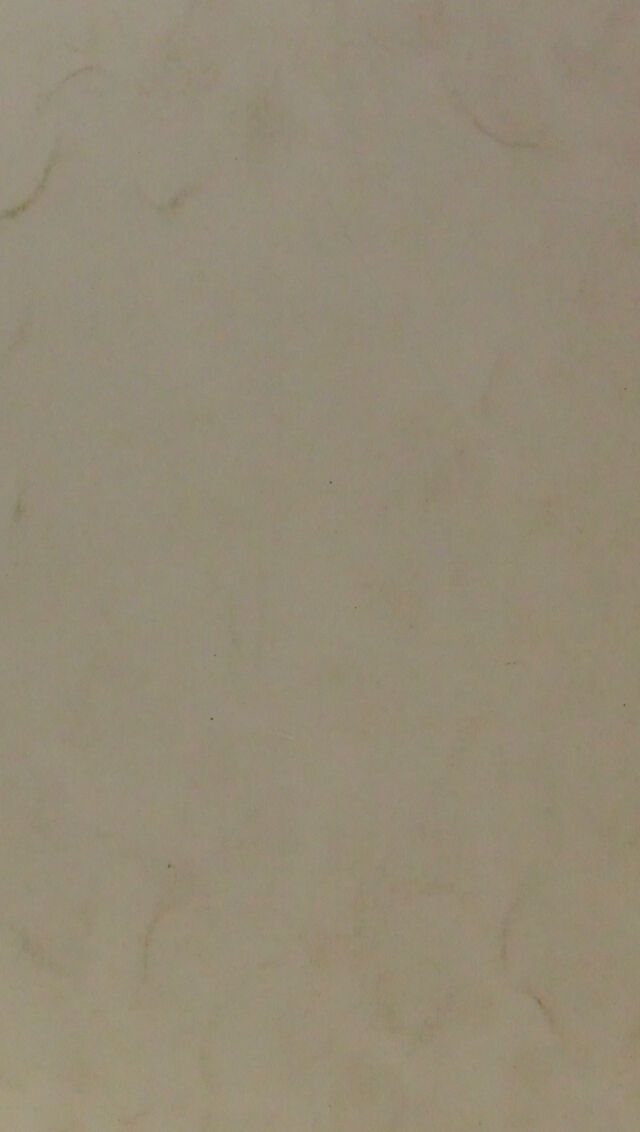 digitised image 2