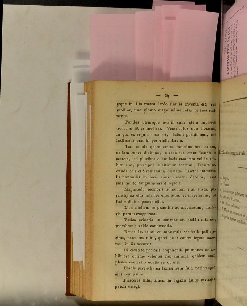 atque in illo massa lardo similis inventa est, sed mollior, uno glomo magnitudine inter ceteros emi- nente. Pondus utriusque ovarii cum utero superavit tredecim libras medicas» Ventriculus non libratam, in qua ex regula situs est, habuit positionem, sed inclinatus erat in perpendicularem. Tam tenuia quam crassa intestina non solum, ut iam supra diximus, e sede sua erant demota el accreta, sed pluribus etiam locis coarctata vel in am- bitu suo, praecipue intestinum coecum, flexura se- cunda coli etSromanum, dilatata. Tractus intestina- lis nonnullis in locis conspiciebatur decolor, vasa eius multo sanguine erant repleta. membranis valde condensatis. Renes laxissimi et substantia corticalis pallidis- sima, praeterea nihil, quod esset contra legem natu- rae, in iis occurrit. In* cavitate pectoris inquirenda pulmones se ex- hibuere optime valentes nec minima quidem cum pleura concretio oculis se obtulit. Cordis parenchyma laxissimum fuit, parietesque eius tenuissimi, . Praeterea nihil alieni in organis huius cavitatis potuit detegi. yia parum exaggerata. Vesica urinaria in conspectum cecidit minima, Magnitudo iecinoris admodum erat aucta, pa- renchyma eius mirifice emollitum et maceratum, ut facile digitis posset elidi. Lien mollem se praestitit ac maceratum, mate-