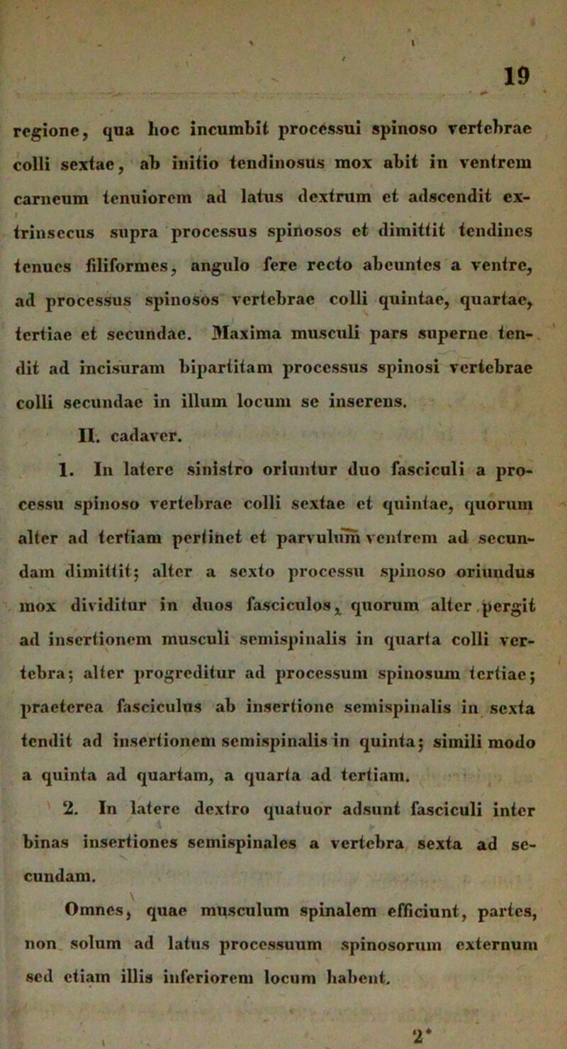 regione, qua lioc incumbit processui spinoso vertebrae t colli sextae, ab initio tendinosus mox abit in ventrem carneum tenuiorem ad latus dextrum et adscendit ex- I . trinsecus supra processus spinosos et dimittit tendines tenues filiformes, angulo fere recto abeuntes a ventre, ad processus spinosos vertebrae colli quintae, quartae, tertiae et secundae. Maxima musculi pars superne ten- dit ad incisuram bipartitam processus spinosi vertebrae colli secundae in illum locum se inserens. II. cadaver. 1. In latere sinistro oriuntur duo fasciculi a pro- cessu spinoso vertebrae colli sextae et quintae, quorum alter ad tertiam pertinet et parvulum ventrem ad secun- dam dimittit; alter a sexto processu spinoso oriundus mox dividitur in duos fasciculos l quorum alter pergit ad insertionem musculi semispinalis in quarta colli ver- tebra; alter progreditur ad processum spinosum tertiae; praeterea fasciculus ab insertione semispinalis in sexta tendit ad insertionem semispinalis in quinta; simili modo a quinta ad quartam, a quarta ad tertiam. 2. In latere dextro quatuor adsunt fasciculi inter binas insertiones semispinales a vertebra sexta ad se- cundam. Omnes, quae musculum spinalem efficiunt, partes, non solum ad latus processuum spinosorum externum sed etiam illis inferiorem locum habent.