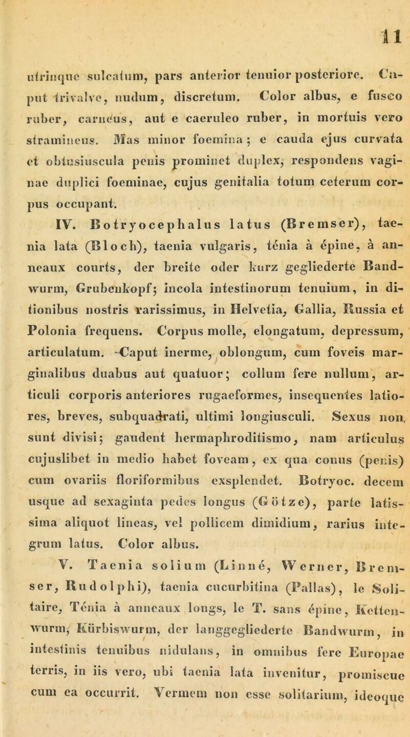 utrinque sulcatum, pars anterior tenuior posteriore. Ca- put trivalve, nudum, discretum. Color albus, e fusco ruber, carneus, aut e caeruleo ruber, in mortuis vero stramineus. Mas minor focmina; e cauda ejus curvata et obtusiuscula penis prominet duplex; respondens vagi- nae duplici foeminae, cujus genitalia totum ceterum cor- pus occupant. IY. Botryocephalus latus (Bremser), tae- nia lata (Blocli), taenia vulgaris, tenia a epine, a an- neaux courts, der breite oder kurz gegliederte Band- wurm, Grubcnhopf; incola intestinorum tenuium, in di- tionibus nostris rarissimus, in Helvetia, Gallia, Bussia et Polonia frequens. Corpus molle, elongatum, depressum, articulatum. -Caput inerme, oblongum, cum foveis mar- ginalibus duabus aut quatuor; collum fere nullum, ar- ticuli corporis anteriores rugaeformes, insequenies latio- res, breves, subquadrati, ultimi longiusculi. Sexus non, sunt divisi; gaudent hermaphroditismo, nam articulus cujuslibet in medio habet foveam, ex qua conus (per.is) cum ovariis florifornvibus cxsplendet. Botryoc. decem usque ad sexaginta pedes longus (Gbtze), parte latis- sima aliquot lineas, vel pollicem dimidium, rarius inte- grum latus. Color albus. V. Taenia solium (Linne, Werncr, B re ni- se r, Rudolphi), taenia cucurbitina (Pallas), lc Soli- taire, Tenia a anneaux longs, le T. sans epine, lietten- wurm, Kurbiswurm, der langgegliedcrtc Bandwurin, in intestinis tenuibus nidulans, in omnibus fere Europae terris, in iis vero, ubi taenia lata invenitur, promiscue cum ea occurrit. Vermem non esse solitarium, ideoque