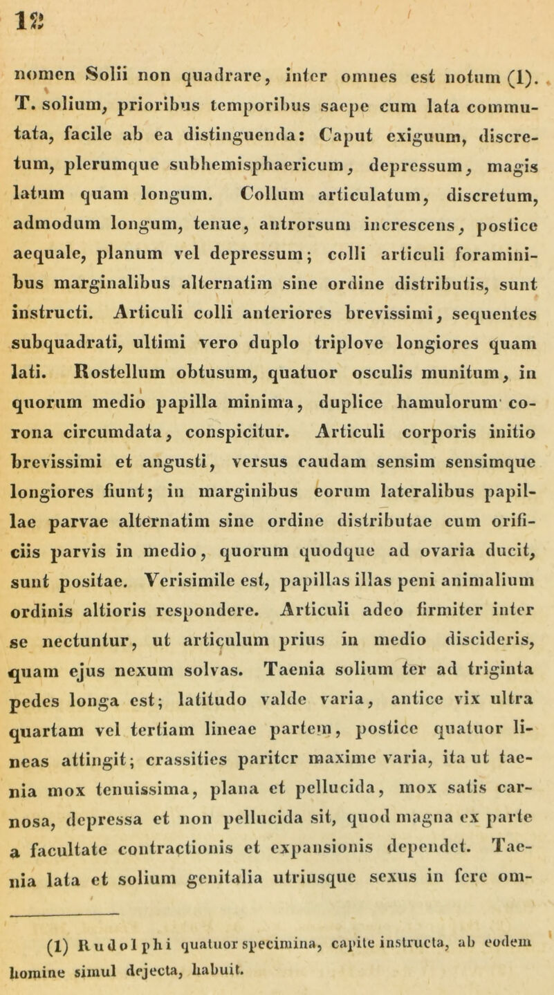 1« nomen Solii non quadrare, inter omnes est notum (1). T. solium, prioribus temporibus saepe cum lata commu- tata, facile ab ea distinguenda: Caput exiguum, discre- tum, plerumque subhemisphacricum, depressum, magis latum quam longum. Collum articulatum, discretum, admodum longum, tenue, antrorsum increscens, postice aequale, planum vel depressum; colli articuli foramini- bus marginalibus alternatim sine ordine distributis, sunt t instructi. Articuli colli anteriores brevissimi, sequentes subquadrati, ultimi vero duplo triplove longiores quam lati. Rostellum obtusum, quatuor osculis munitum, in quorum medio papilla minima, duplico hamulorum co- rona circumdata, conspicitur. Articuli corporis initio brevissimi et angusti, versus caudam sensim sensimque longiores fiunt; in marginibus eorum lateralibus papil- lae parvae alternatim sine ordine distributae cum orifi- ciis parvis in medio, quorum quodque ad ovaria ducit, sunt positae. Verisimile est, papillas illas peni animalium ordinis altioris respondere. Articuli adeo firmiter inter se nectuntur, ut articulum prius in medio discideris, quam ejus nexum solvas. Taenia solium ter ad triginta pedes longa est; latitudo valde varia, antice vix ultra quartam vel tertiam lineae partem, postice quatuor li- neas attingit; crassities pariter maxime varia, ita ut tae- nia mox tenuissima, plana et pellucida, mox satis car- nosa, depressa et non pellucida sit, quod magna ex parte a facultate contractionis et expansionis dependet. Tae- nia lata et solium genitalia utriusque sexus in fere om- (1) Rudet phi quatuor specimina, capite instructa, ab eodem homine simul dejecta, habuit.