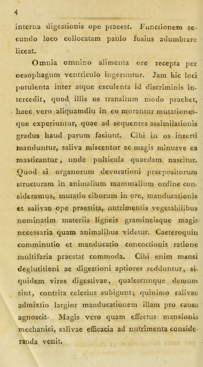 interna digestionis ope praeest. Functionem se- eundo loco collocatam paulo fusius adumbrare liceat. , >> Omnia omnino alimenta ore recepta per oesophagum ventriculo ingeruntur. Jam hic loci potulenta inter atque esculenta id discriminis in- tercedit, quod illis os transitum modo praebet, * haec vero aliquamdiu in eo morantur mutationes- que experiuntur, quae ad sequentes assimilationis gradus haud parum faciunt. Cibi in os inserti manduntur, saliva miscentur ac magis minusve ea masticantur, unde pulticula quaedam nascitur. Ouod si organorum devorationi praepositorum structuram in animalium mammalium ordine con- sideramus, mutatio ciborum in ore, manducationis ct salivae ope praestita, nutrimentis vegetabilibus noininatim materiis ligneis gramineisque magis necessaria quam animalibus videtur. Caeteroquin comminutio et manducatio concoctionis ratione multifaria praestat commoda. Cibi enim mansi deglutitioni ac digestioni aptiores redduntur, si- quidem vires digestivae, qualescunque deruum sint, contrita celerius subigunt; quinimo salivae admixtio largior manducationem illam pro causa agnoscit- Magis vero quam effectus mansionis mechanici, salivae efficacia ad nutrimenta conside-- randa venit.