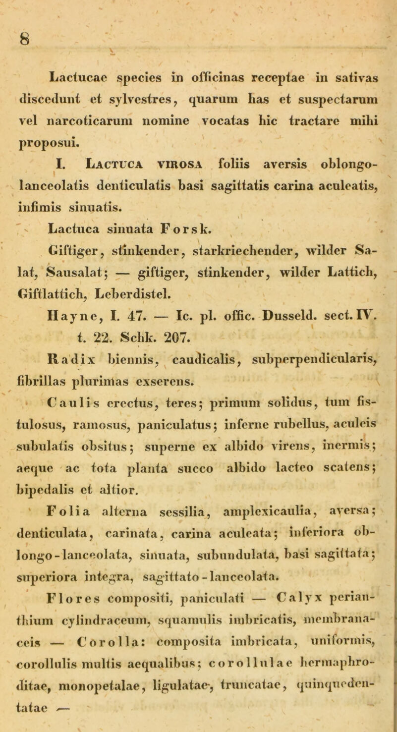 discedunt et sylvestres, quarum has et suspectarum vel narcoticarum nomine vocatas hic tractare mihi proposui. I. Lactuca viuosa foliis aversis oblongo- ' v lanceolatis denticulatis basi sagittatis carina aculeatis, infimis sinuatis. Lactuca sinuata Forsk. i Giftiger, stinkendcr, starkriechendcr, wilder Sa- lat, Sausalat; — giftiger, stinkendcr, wilder Latticli, Giftlattich, Leberdistel. Ha yne, I. 47. — Ic. pl. offic. Dusseld. sect. IY. t. 22. Schk. 207. Radix biennis, caudicalis, subperpendicularis, fibrillas plurimas exserens. Caulis erectus, teres; primum solidus, tum fis- tulosus, ramosus, paniculatus; inferne rubellus, aculeis subulatis obsitus; superne ex albido virens, inermis; aeque ac tota planta succo albido lacteo scatens; bipedalis et altior. Folia alterna sessilia, amplcxicaulia, aversa; denticulata, carinata, carina aculeata; inferiora ob- f longo - lanceolata, sinuata, subundulata, basi sagittata; superiora integra, sagittato-lanceolata. Flores compositi, paniculati — Calyx perian- thium cylindraceum, squamulis imbricatis, membrana- ceis — Corolla: composita imbricata, uniformis, corollulis multis aequalibus; corollulae hermaphro- ditae, monopetalae, ligulatae-, truncatae, quinqnoden- tatae >—