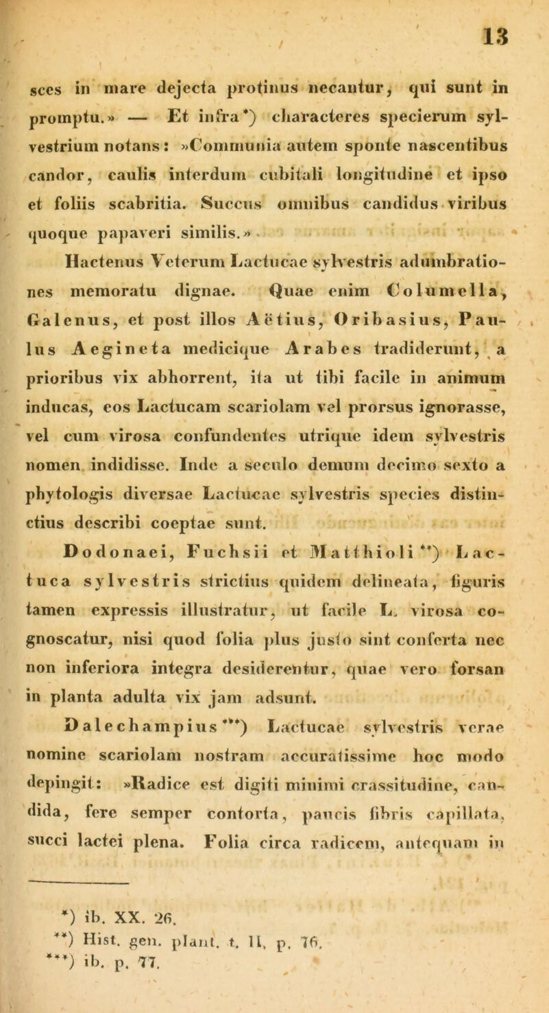 . / V sccs in mare dejecta protinus necantur, qui sunt in promptu.» — Et infra* *) characteres specierum syl- vestrium notans: »Comrnunia autem sponte nascentibus candor, caulis interdum cubitali longitudine et ipso et foliis scabritia. Succus omnibus candidus viribus quoque papaveri similis.» Hactenus Veterum Lactucae svlvestris adumbratio- ■ * nes memoratu dignae. Quae enim Colu mella, Galenus, et post illos Actius, Oribasius, Pau- i lus Aegineta medicique Arabes tradiderunt, a prioribus vix abhorrent, ita ut tibi facile in animum inducas, eos Lactucam scariolam vel prorsus ignorasse, vel cum virosa confundentes utrique idem svlvestris nomen indidisse. Inde a seculo demum decimo sexto a phytologis diversae Lactucae svlvestris species distin- ctius describi coeptae sunt. Dodonaei, Fuchsii et Mati hio Ii**) Lac- tuca svlvestris strictius quidem delineaia, figuris tamen expressis illustratur, ut facile L, virosa co- gnoscatur, nisi quod folia plus justo sint conferta nec non inferiora integra desiderentur, quae vero forsan in planta adulta vix jam adsunt. Dalechampius ***) Lactucae svlvestris verae nomine scariolam nostram accuratissime hoc modo depingit: »Radice est digiti minimi crassitudine, can- dida, fere semper contorta, paucis libris capillata, succi lactei plena. Folia circa radicem, antequam in **) Hisl. gen. piant, t. 11. p. 76. *4*) ib. p. 77.
