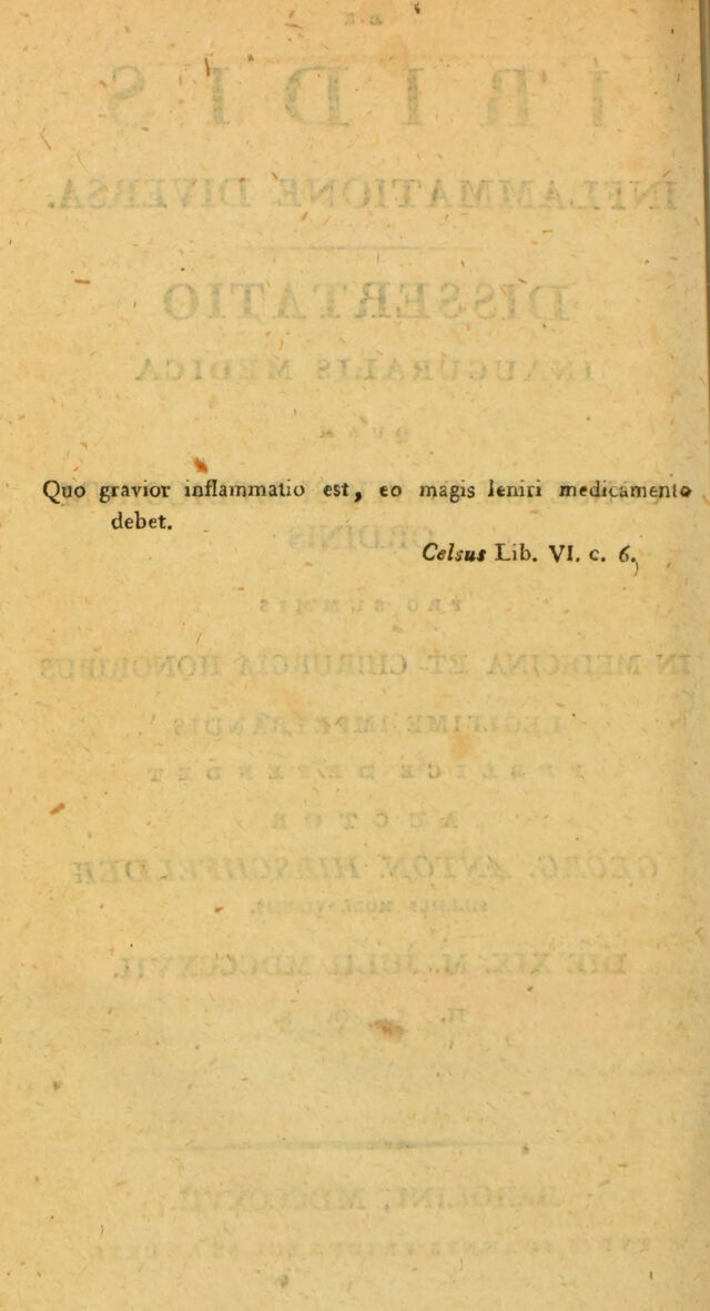 digitised image 2