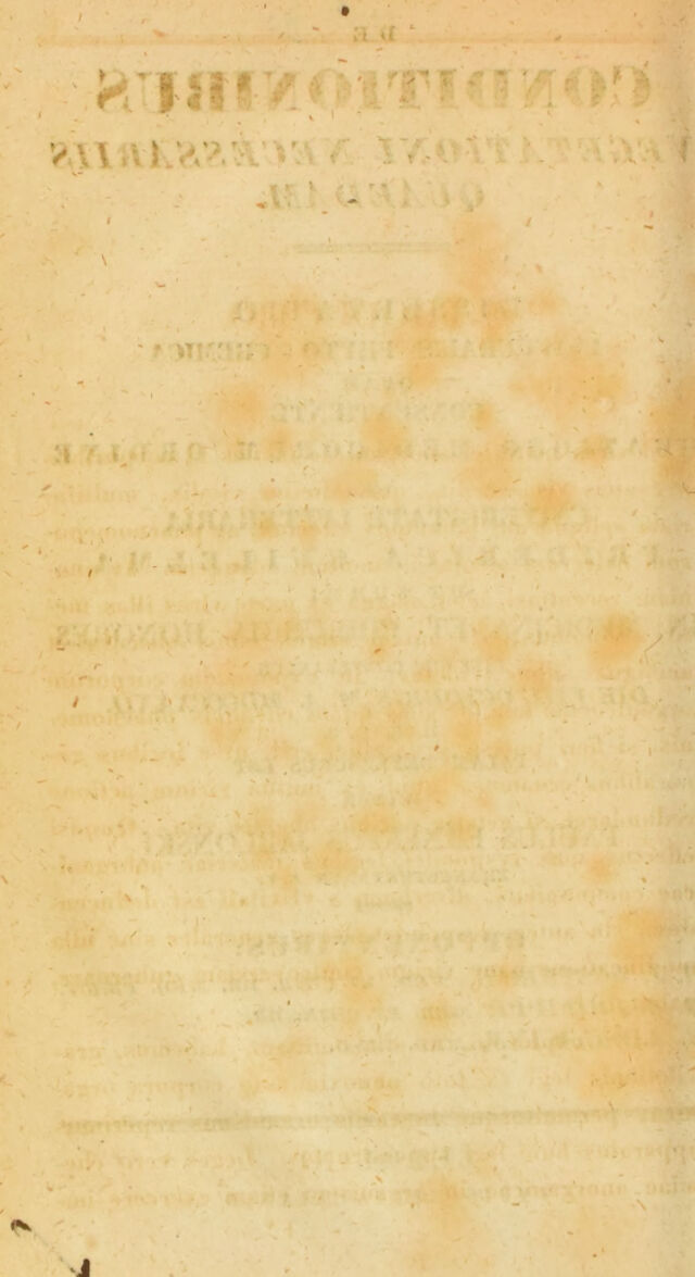 digitised image 2