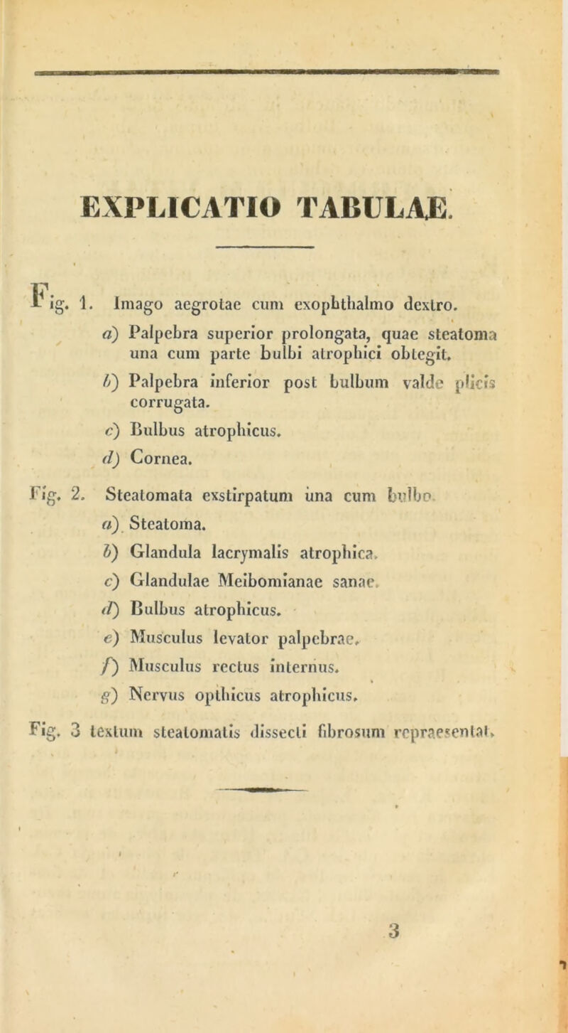 EXPLICATIO TABULAE. imago aegrotae cum exophthalmo dextro. a) Palpebra superior prolongata, quae steatoma una cum parte bulbi atrophici obtegit. Ii) Palpebra inferior post bulbum valde plicis corrugata. c) Bulbus atrophicus. d) Cornea. Fig. 2. Steatomata exstirpatum una cum bulbo a) Steatoma. b) Glandula lacrymalis atrophica. c) Glandulae Meibomianae sanae d) Bulbus atrophicus. e) Musculus levator palpebrae, f) Musculus rectus internus. g) Nervus oplhicus atrophicus. Fig. 3 textum steatomatis dissecti fibrosum repraesentat. 3