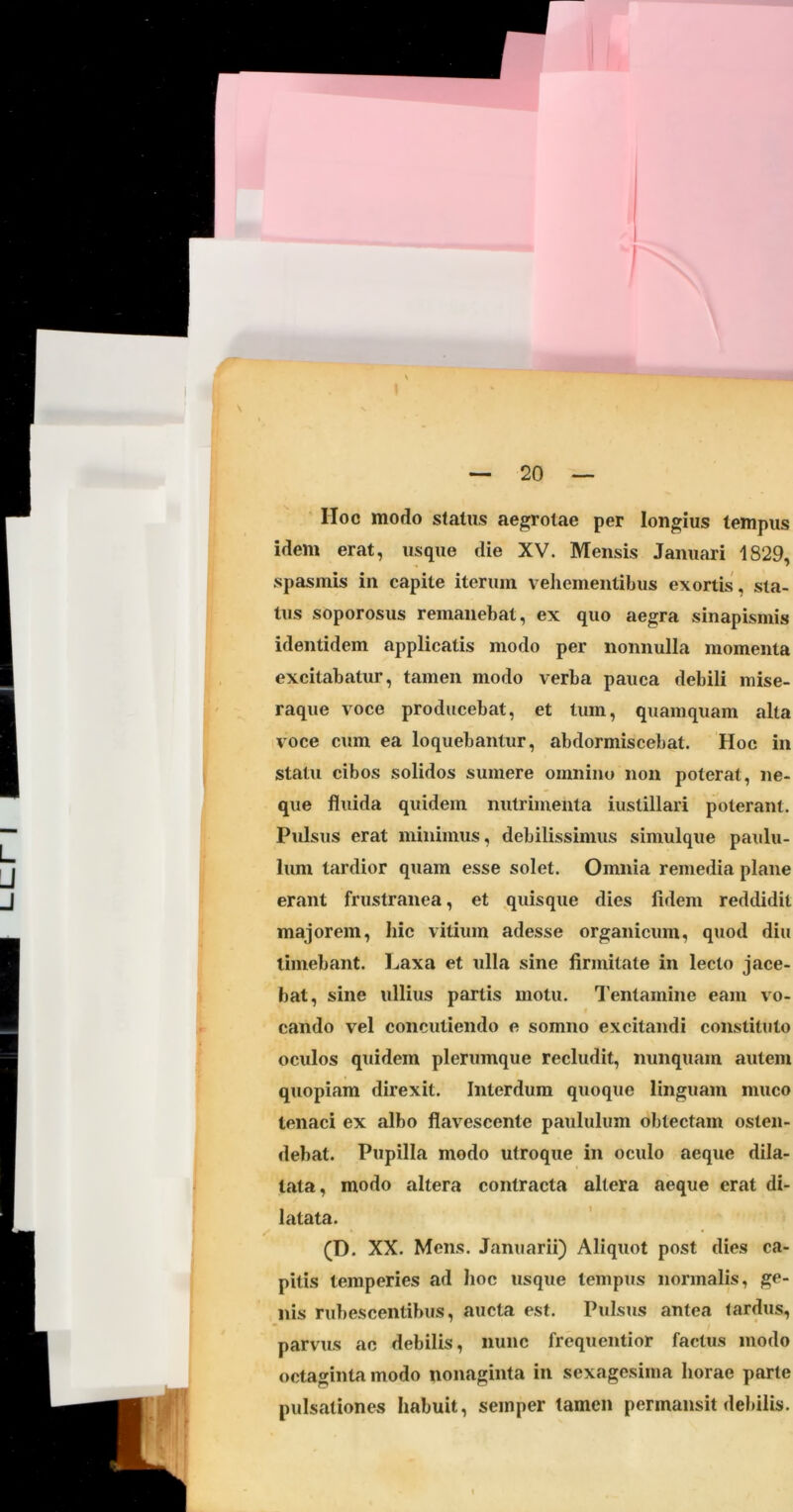 Hoc modo status aegrotae per longius tempus idem erat, usque die XV. Mensis Januari 1829, spasmis in capite iterum vehementibus exortis, sta- tus soporosus remanebat, ex quo aegra sinapismis identidem applicatis modo per nonnulla momenta excitabatur, tamen modo verba pauca debili mise- raque voce producebat, et tum, quamquam alta voce cum ea loquebantur, abdormiscebat. Hoc in statu cibos solidos sumere omnino non poterat, ne- que fluida quidem nutrimenta iustillari poterant. Pulsus erat minimus, debilissimus simulque paulu- lum tardior quam esse solet. Omnia remedia plane erant frustranea, et quisque dies fidem reddidit majorem, hic vitium adesse organicum, quod diu timebant, l^axa et ulla sine firmitate in lecto jace- bat, sine ullius partis motu. l’entamine eam vo- « cando vel concutiendo e somno excitandi constituto oculos quidem plerumque recludit, nunquam autem quopiam direxit. Interdum quoque linguam muco tenaci ex albo flavescente paululum obtectam osten- debat. Pupilla modo utroque in oculo aeque dila- tata, modo altera contracta altera aeque erat di- latata. (D. XX. Mens. Januarii) Aliquot post dies ca- pitis temperies ad hoc usque tempus normalis, ge- nis rubescentibus, aucta est. Pulsus antea tardus, parvus ac debilis, nunc frequentior factus modo octaginta modo nonaginta in sexagesima horae parte pulsationes habuit, semper tamen permansit debilis.
