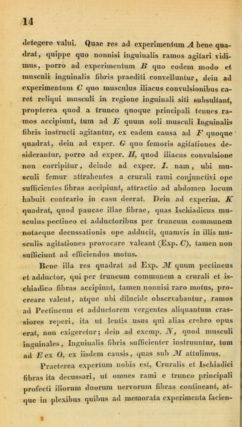 tictcgcro valui. Quae res ad cxpcrlnientiim A bene qua- drat, quippe quo nonnisi inguinalis ramos agitari vidi- mus, porro ad experimentum JB quo eodem modo et musculi inguinalis fibris praediti convelluntur, deiii ad experimentum C quo musculus iliacus convulsionibus ca- ret reliqui musculi in regione inguinali siti subsultant, propterea quod a trunco quoque principali tenues ra- mos accipiunt, tum ad E quum soli musculi Inguinalis fibris instx-ucti agitantur, ex eadem causa ad F quoque ' quadrat, deiu ad exper. G quo femoris agitationes de- siderantur, porro ad exper. //, quod iliacus convulsione non corripitur, deinde ad exper, I. nam, ubi mu- sculi femur attrahentes a crurali rami conjunctivi ope sufficientes fibras accipiunt, attractio ad abdomen locum habuit contrario in casu deerat. Deiu ad experim. K \ quadrat, quod paucae illae fibrae, quas Ischiadicus mu- sculus pectineo et adductoribus per truncum communem notacque decussationis ope adducit, quamvis in illis mu- sculis agitationes provocare valeant (Exp. C), tamen non sufficiunt ad efficiendos motus. Bene illa res quadrat ad Exp. ilf quum pectineus ct adductor, qui per truncum communem a crurali et is- chiadico fibras accipiunt, tamen nonnisi raro motus, pro- creare valent, atque ubi dilucide observabantur, ramos ad Pectineum ct adductorem vergentes aliquantum cras- siores reperi, ita ut lentis usus qui alias crebro opus erat, non exigeretur; deiu ad exemp, JV, quod musculi inguinales. Inguinalis fibris sufficienter instruuntur, tum ad E ex O, ex iisdem causis, quas sui) J\I attulimus. Praeterea expertum nobis est. Cruralis et Ischiadici fibras ita decussari, ut omnes rami e trunco principali profecti iliorum duorum nervorum fibras contineant, at- que in plexibus quibus ad memorata experimenta facien- I